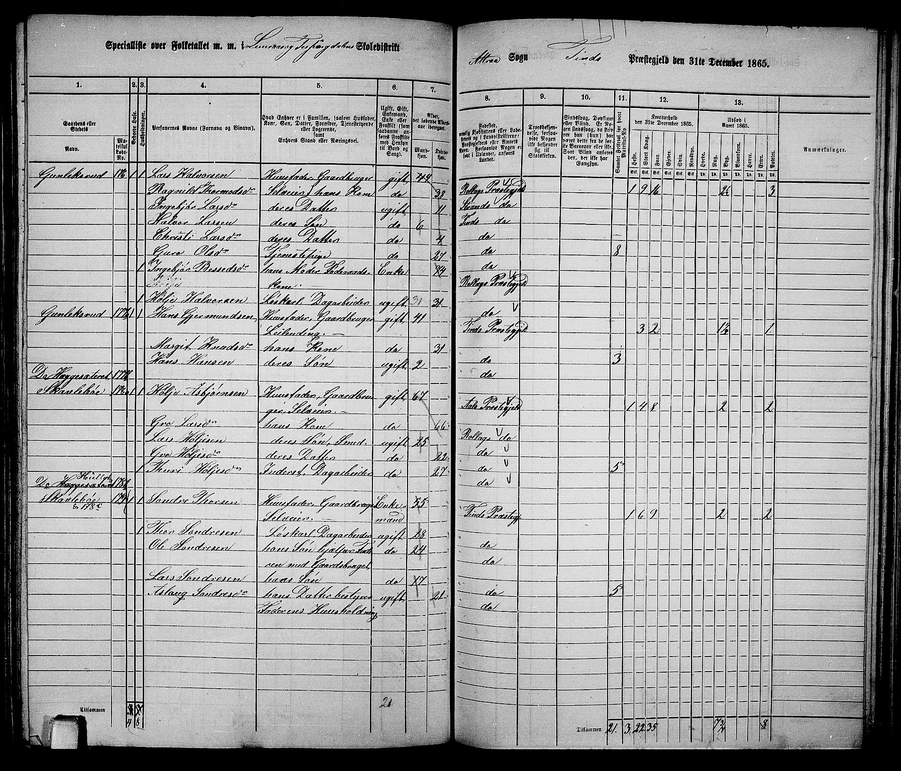 RA, 1865 census for Tinn, 1865, p. 46