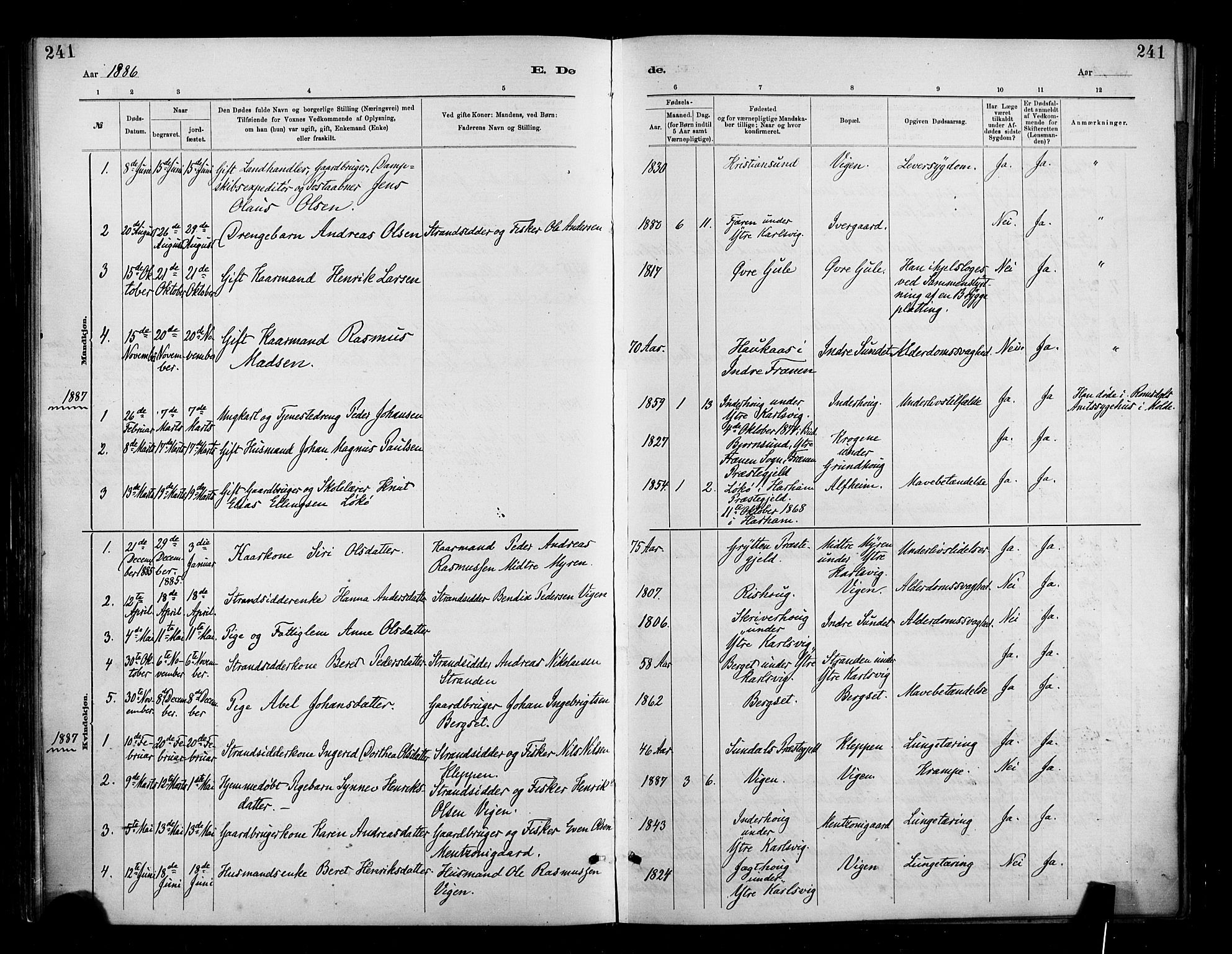 Ministerialprotokoller, klokkerbøker og fødselsregistre - Møre og Romsdal, SAT/A-1454/566/L0769: Parish register (official) no. 566A08, 1881-1903, p. 241