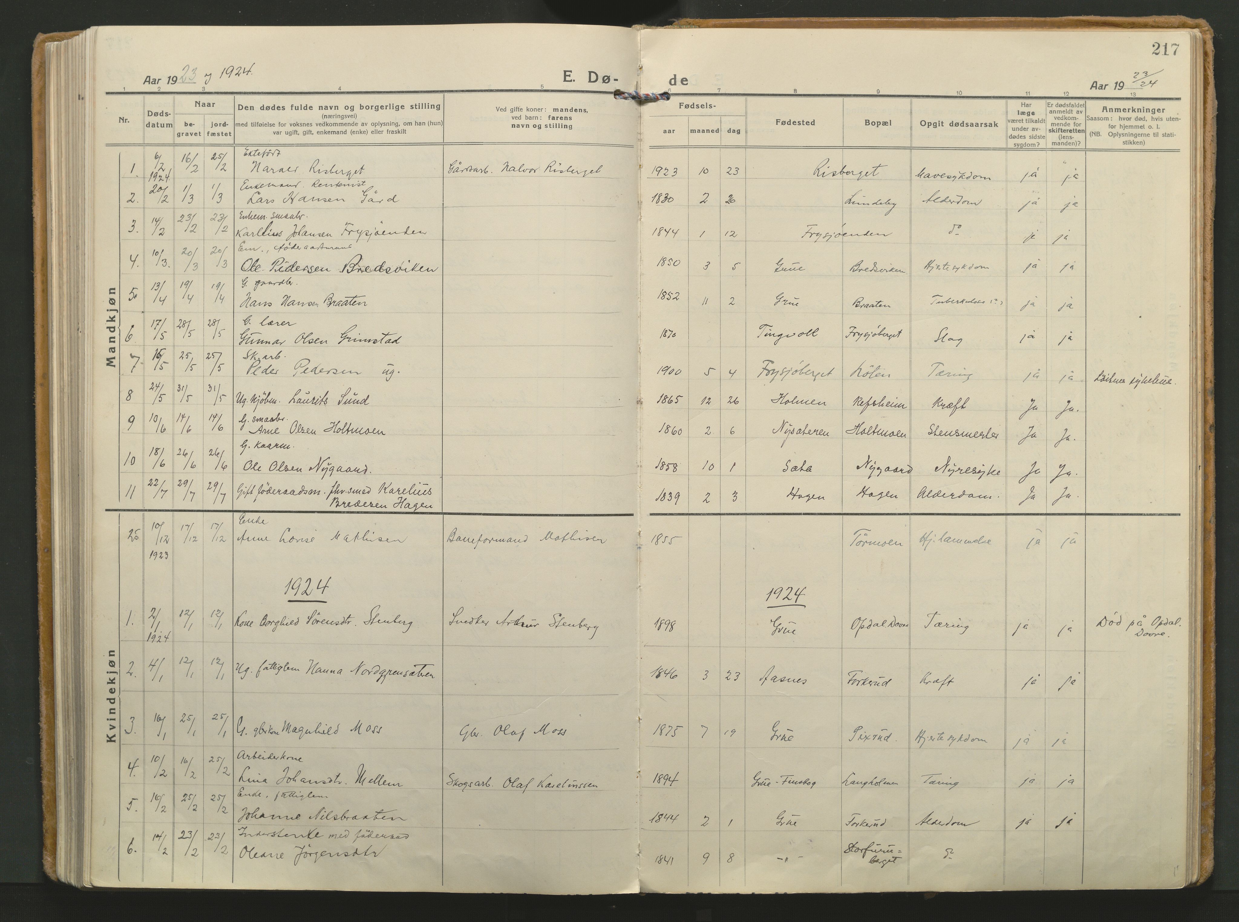 Grue prestekontor, AV/SAH-PREST-036/H/Ha/Haa/L0018: Parish register (official) no. 18, 1923-1940, p. 217