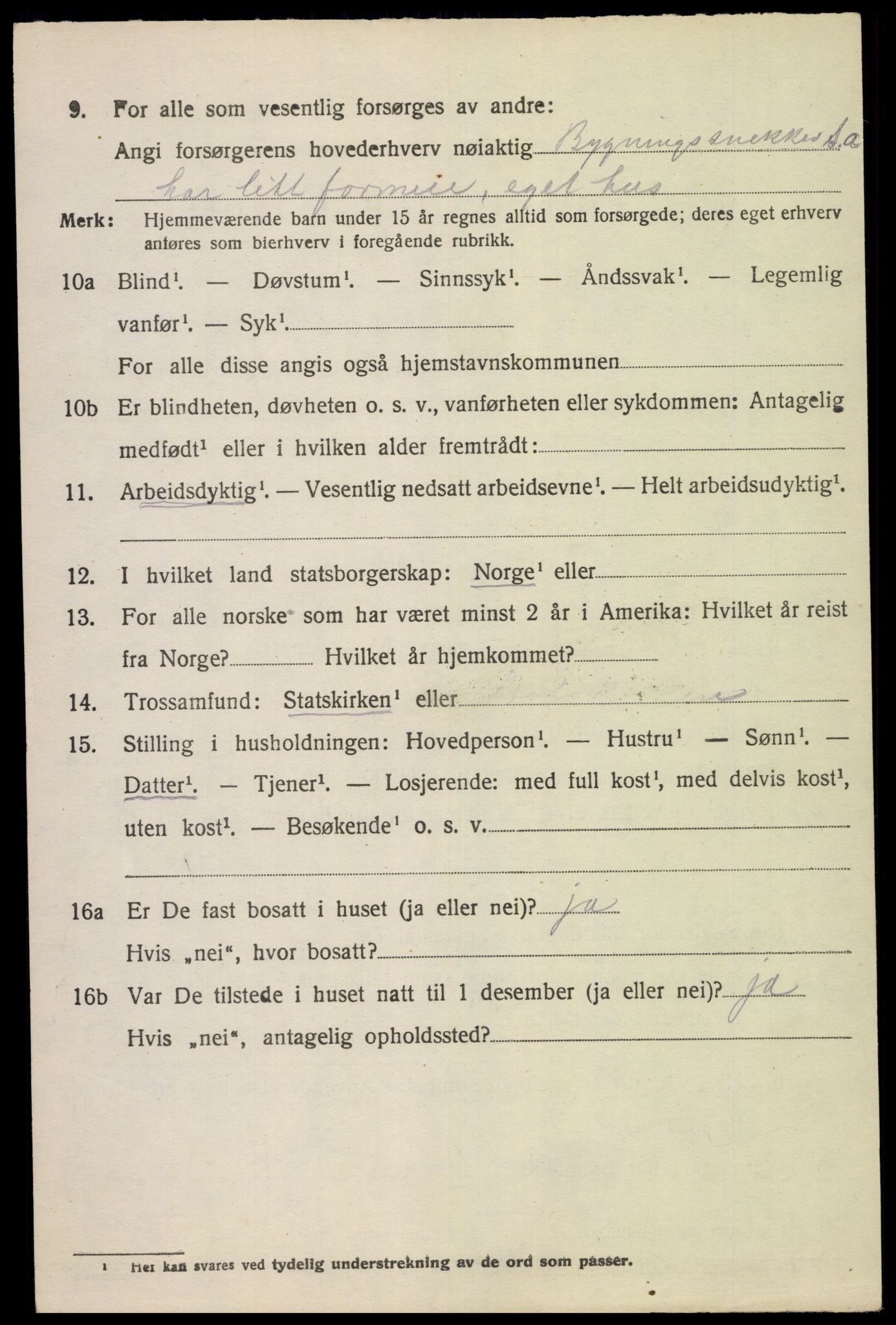 SAK, 1920 census for Nes (V-A), 1920, p. 4237