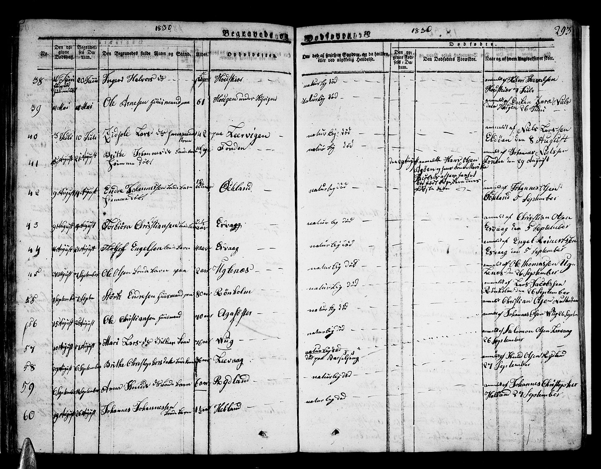 Stord sokneprestembete, AV/SAB-A-78201/H/Haa: Parish register (official) no. A 6, 1826-1840, p. 293