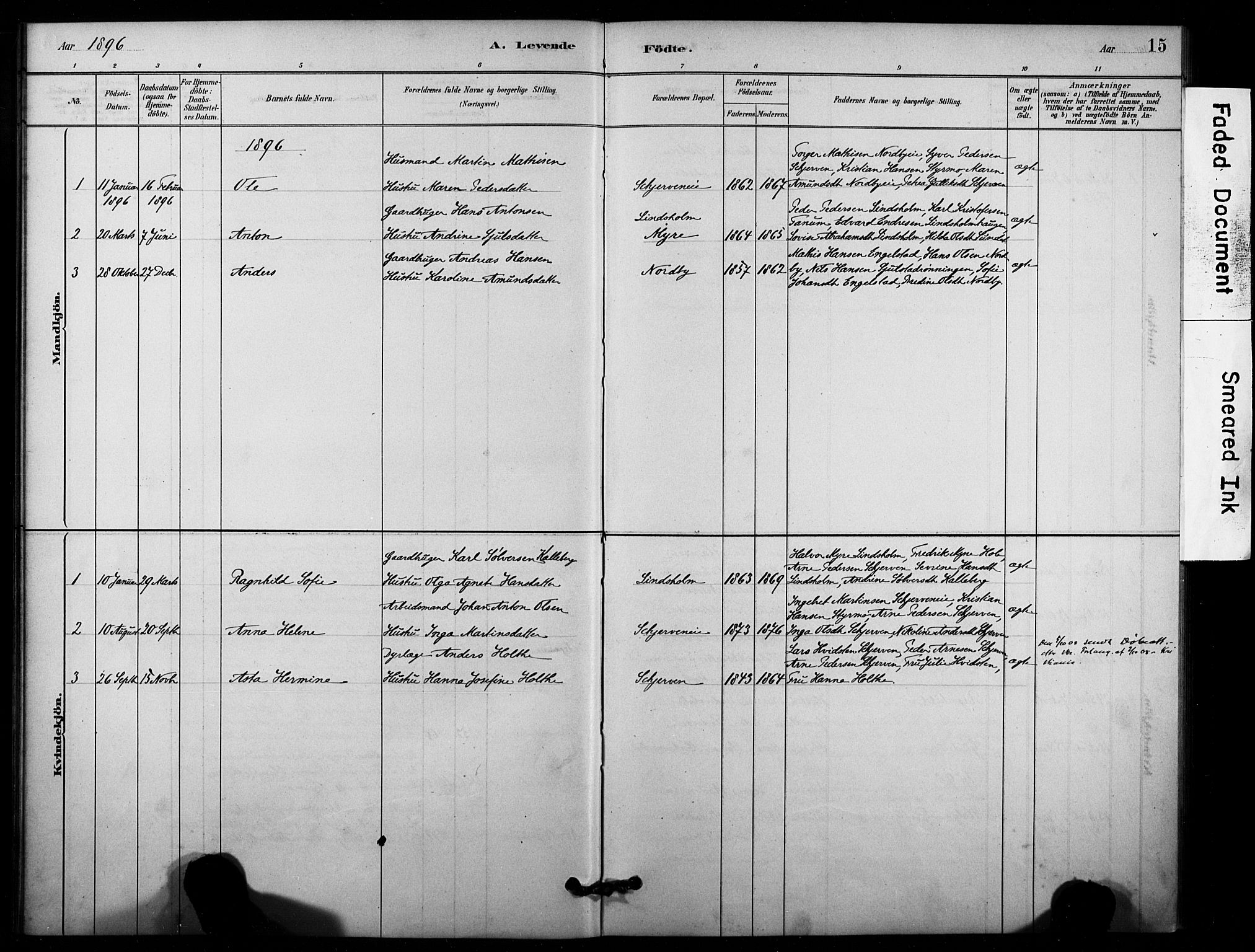 Lardal kirkebøker, AV/SAKO-A-350/F/Fc/L0001: Parish register (official) no. III 1, 1881-1906, p. 15