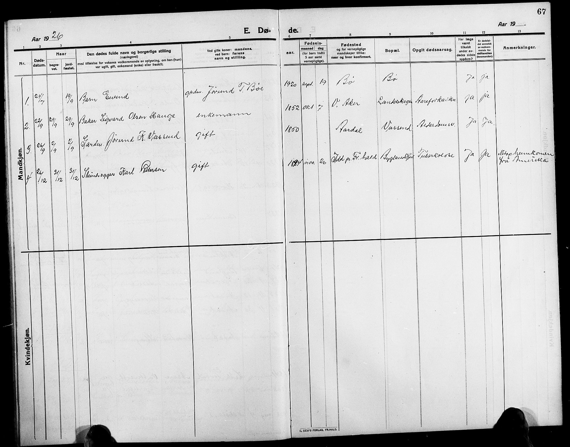 Bygland sokneprestkontor, SAK/1111-0006/F/Fb/Fbd/L0003: Parish register (copy) no. B 3, 1910-1926, p. 67