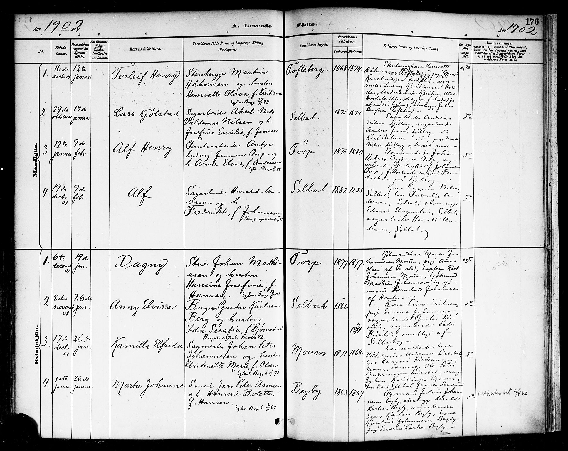 Borge prestekontor Kirkebøker, AV/SAO-A-10903/F/Fa/L0008: Parish register (official) no. I 8A, 1887-1902, p. 176