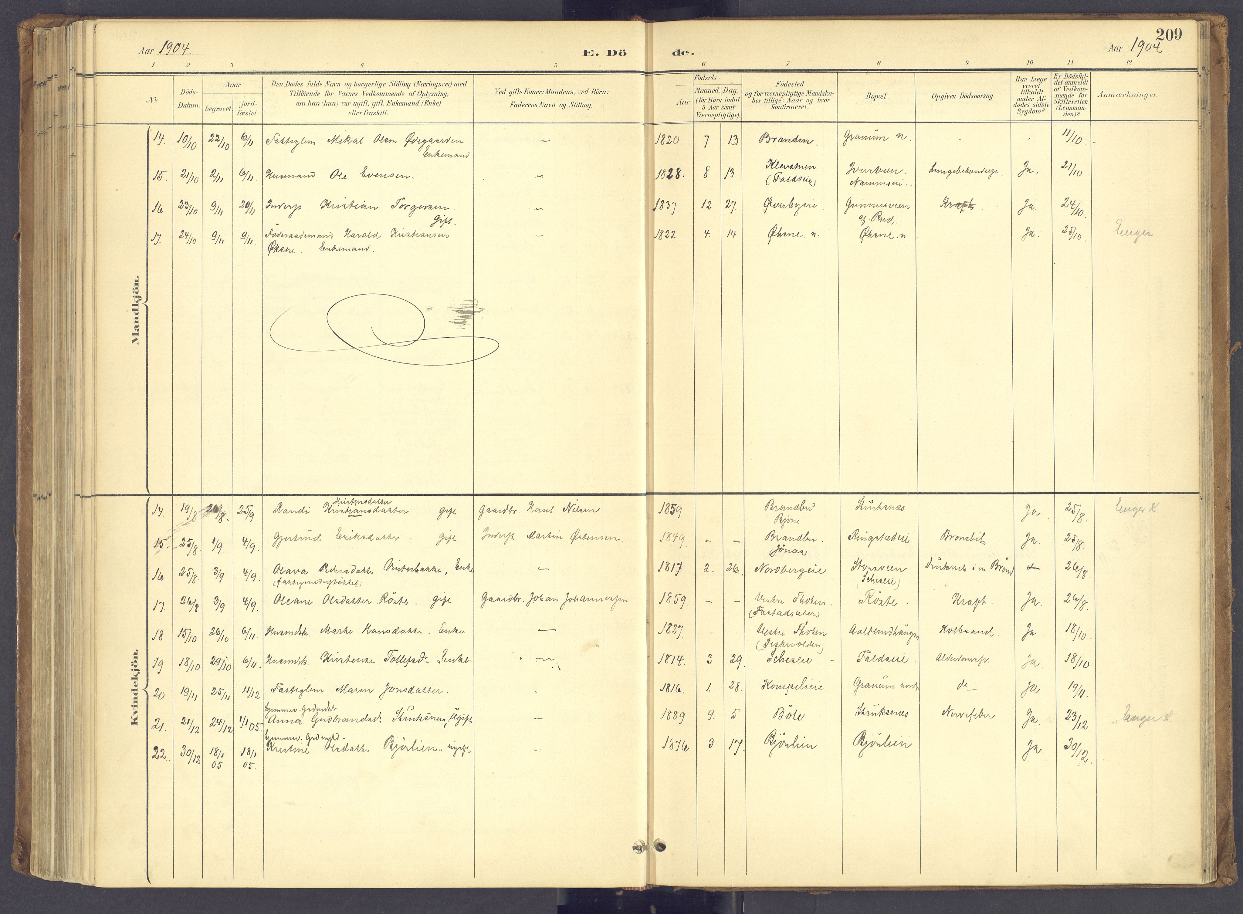 Søndre Land prestekontor, SAH/PREST-122/K/L0006: Parish register (official) no. 6, 1895-1904, p. 209