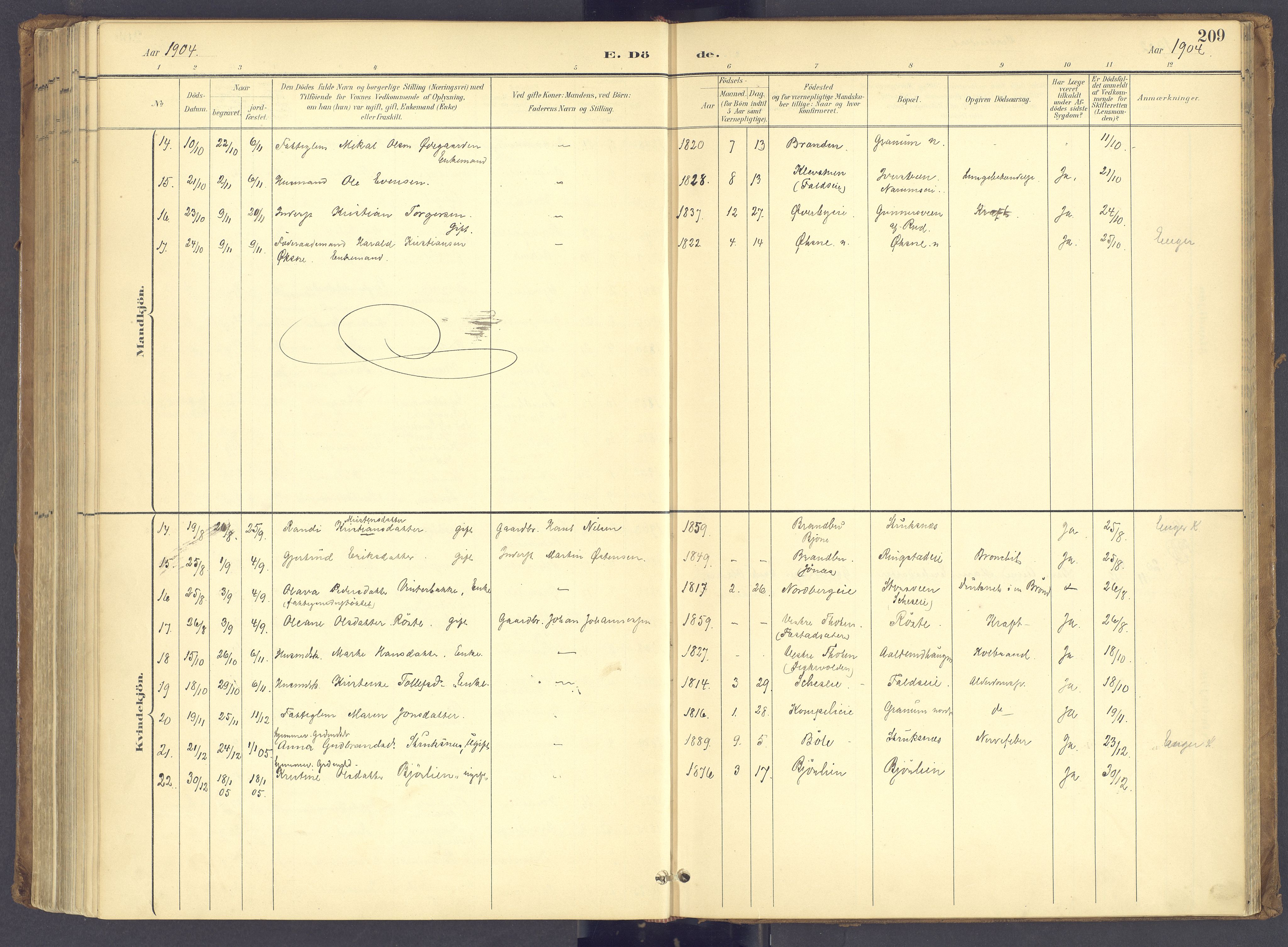 Søndre Land prestekontor, AV/SAH-PREST-122/K/L0006: Parish register (official) no. 6, 1895-1904, p. 209