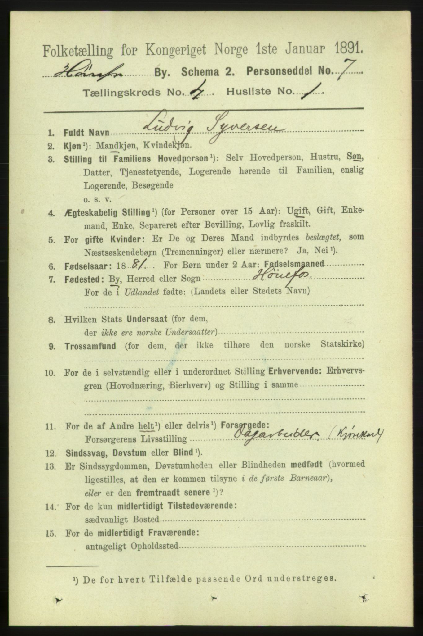 RA, 1891 census for 0601 Hønefoss, 1891, p. 793