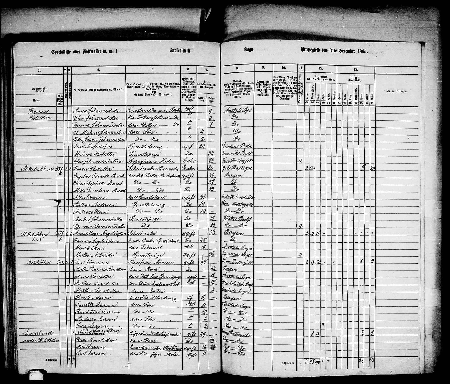 RA, 1865 census for St. Jørgens Hospital/Årstad, 1865, p. 14