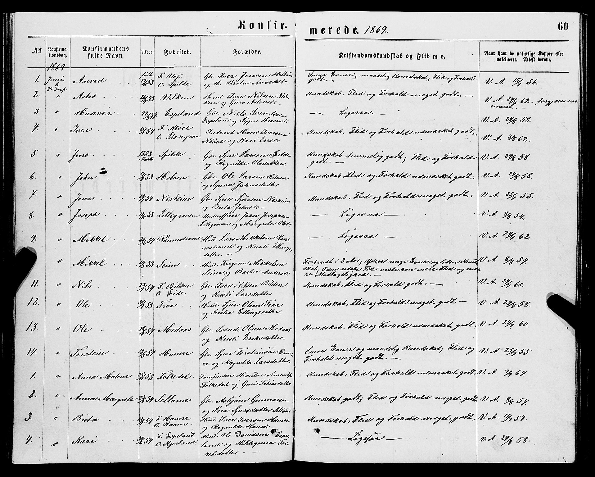Ulvik sokneprestembete, SAB/A-78801/H/Hab: Parish register (copy) no. B 2, 1869-1883, p. 60