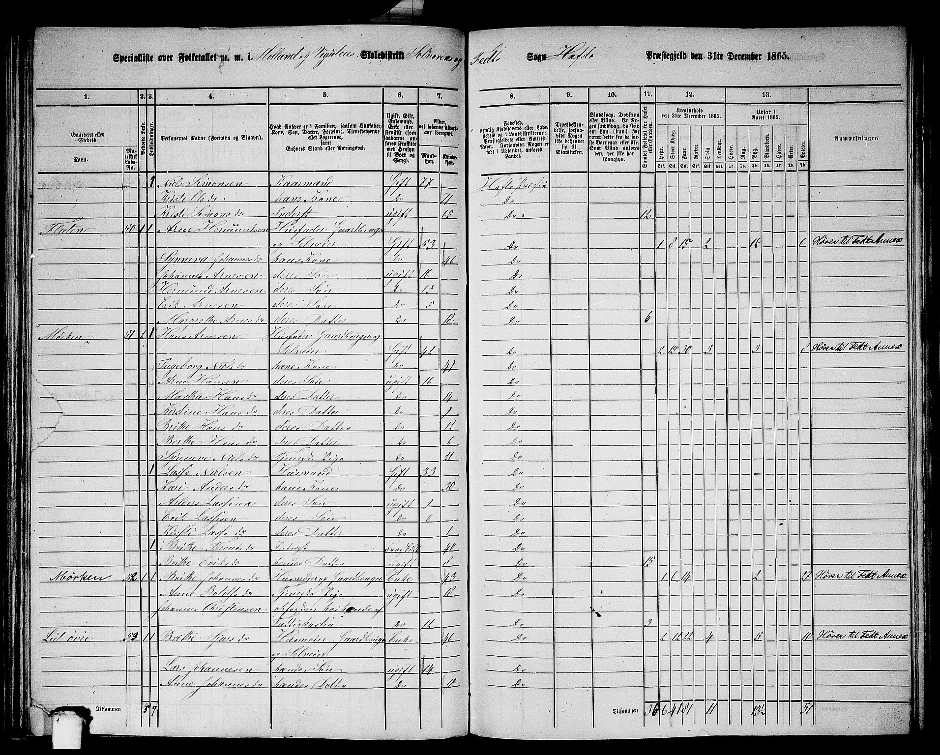 RA, 1865 census for Hafslo, 1865, p. 97