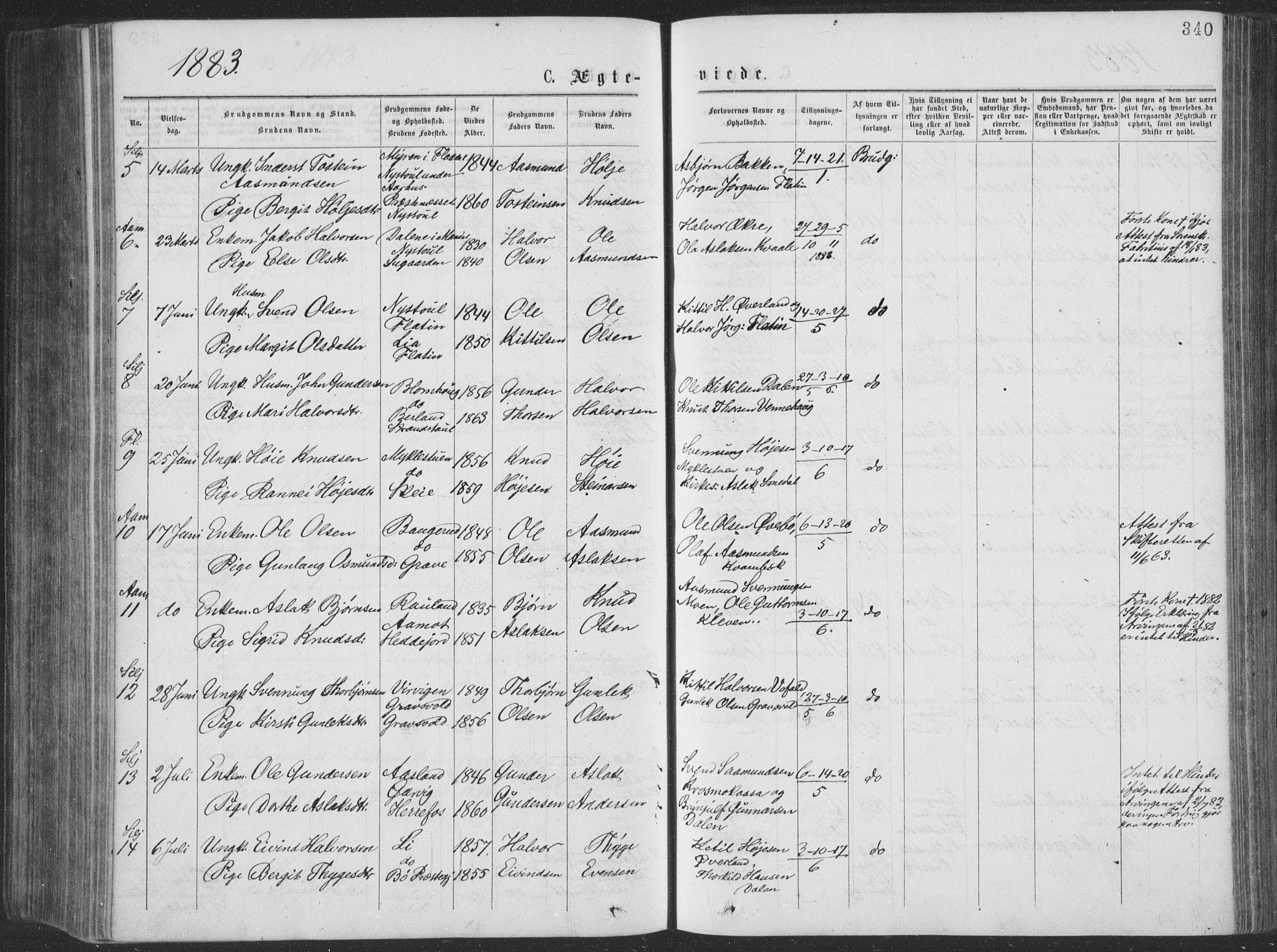Seljord kirkebøker, SAKO/A-20/F/Fa/L0014: Parish register (official) no. I 14, 1877-1886, p. 340