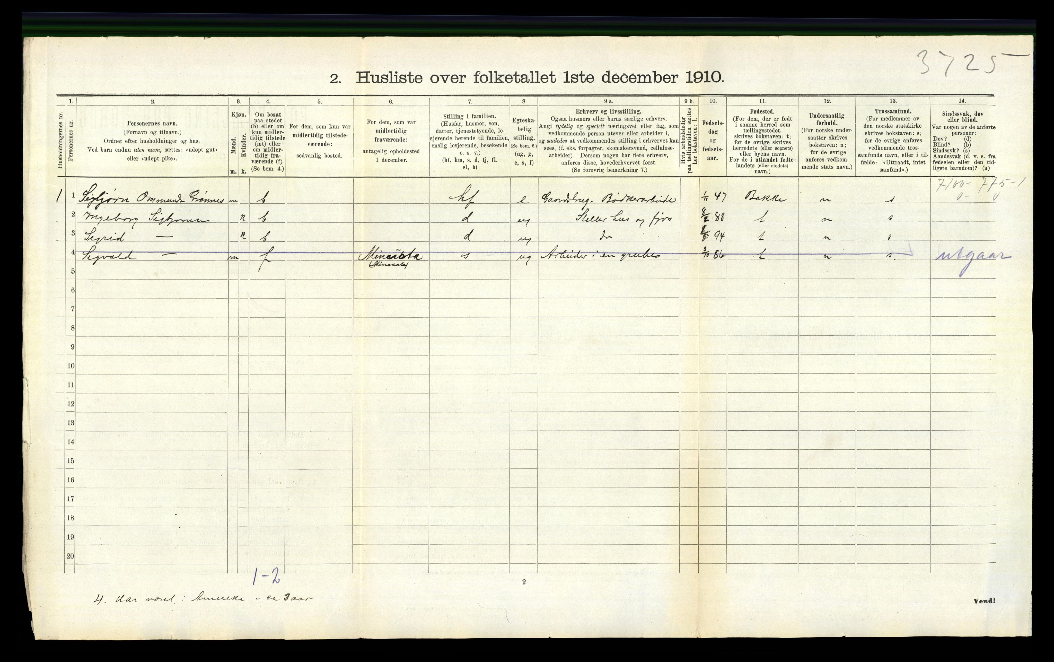 RA, 1910 census for Nes, 1910, p. 492