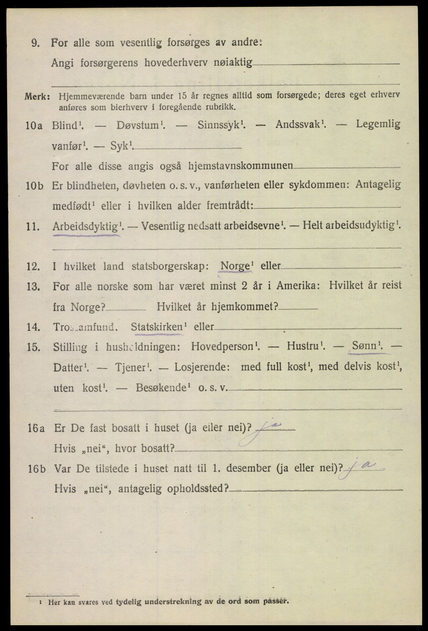 SAH, 1920 census for Dovre, 1920, p. 4551