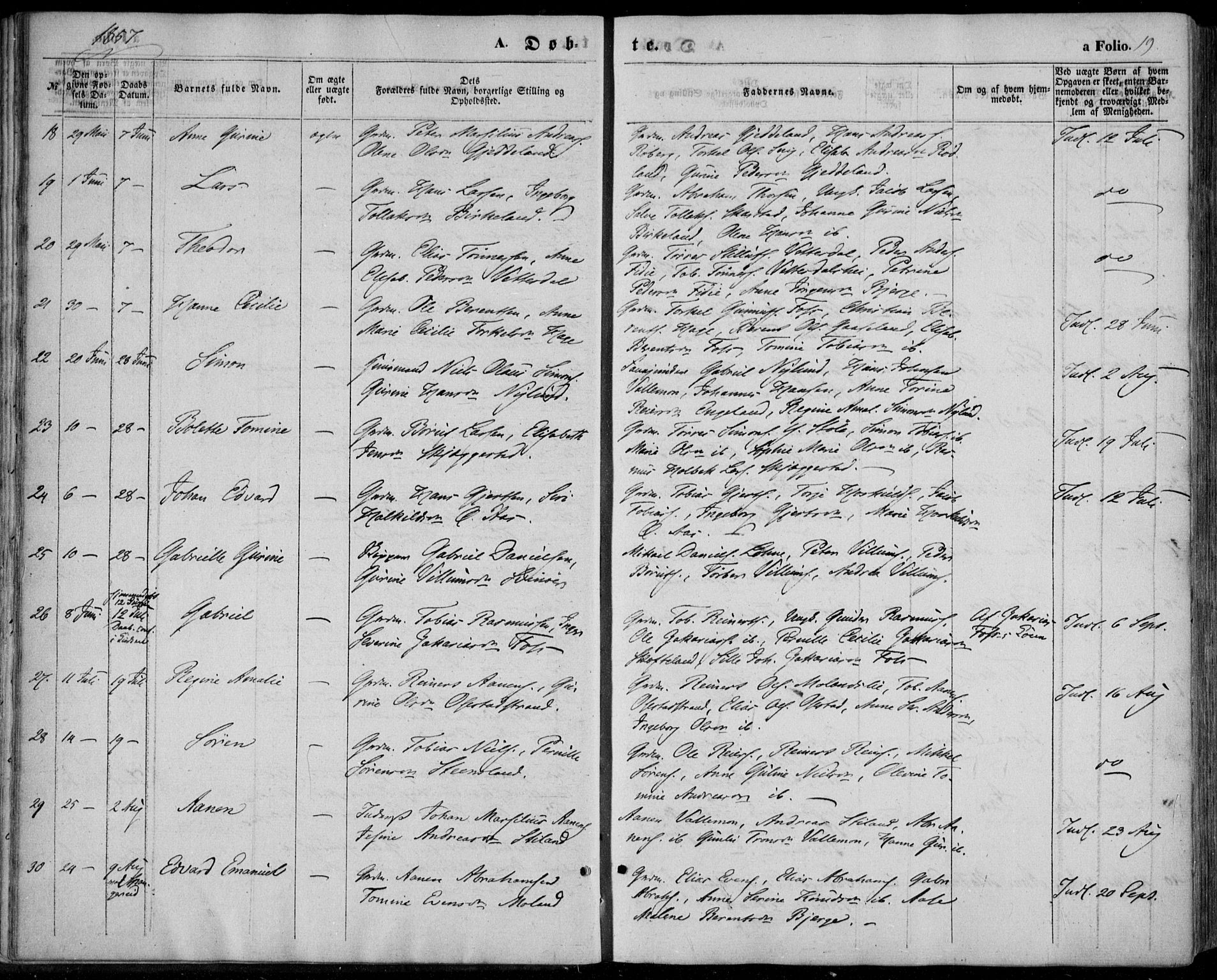 Sør-Audnedal sokneprestkontor, SAK/1111-0039/F/Fa/Fab/L0007: Parish register (official) no. A 7, 1855-1876, p. 19