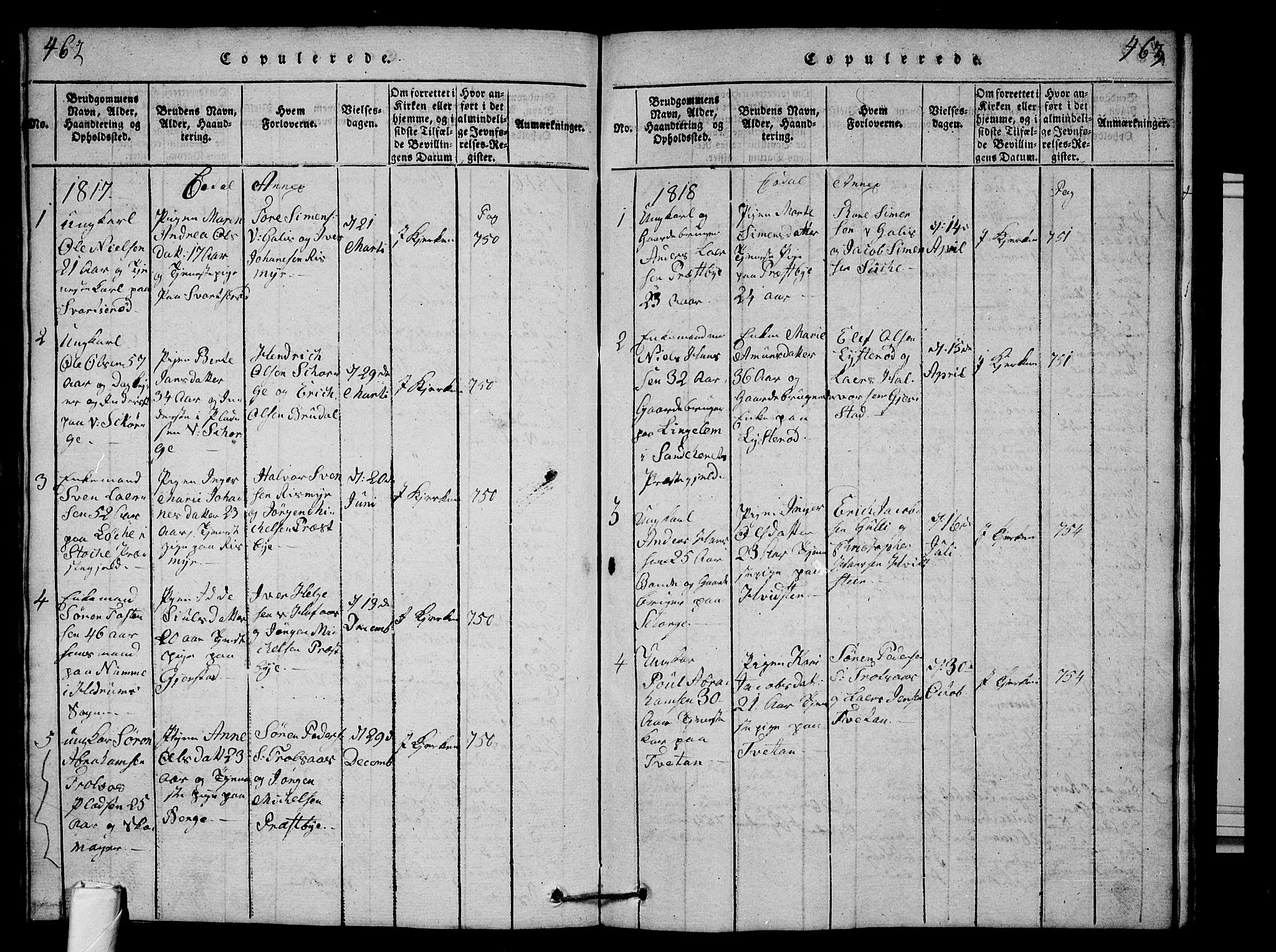 Andebu kirkebøker, SAKO/A-336/G/Ga/L0001: Parish register (copy) no. I 1 /3, 1815-1823, p. 462-463
