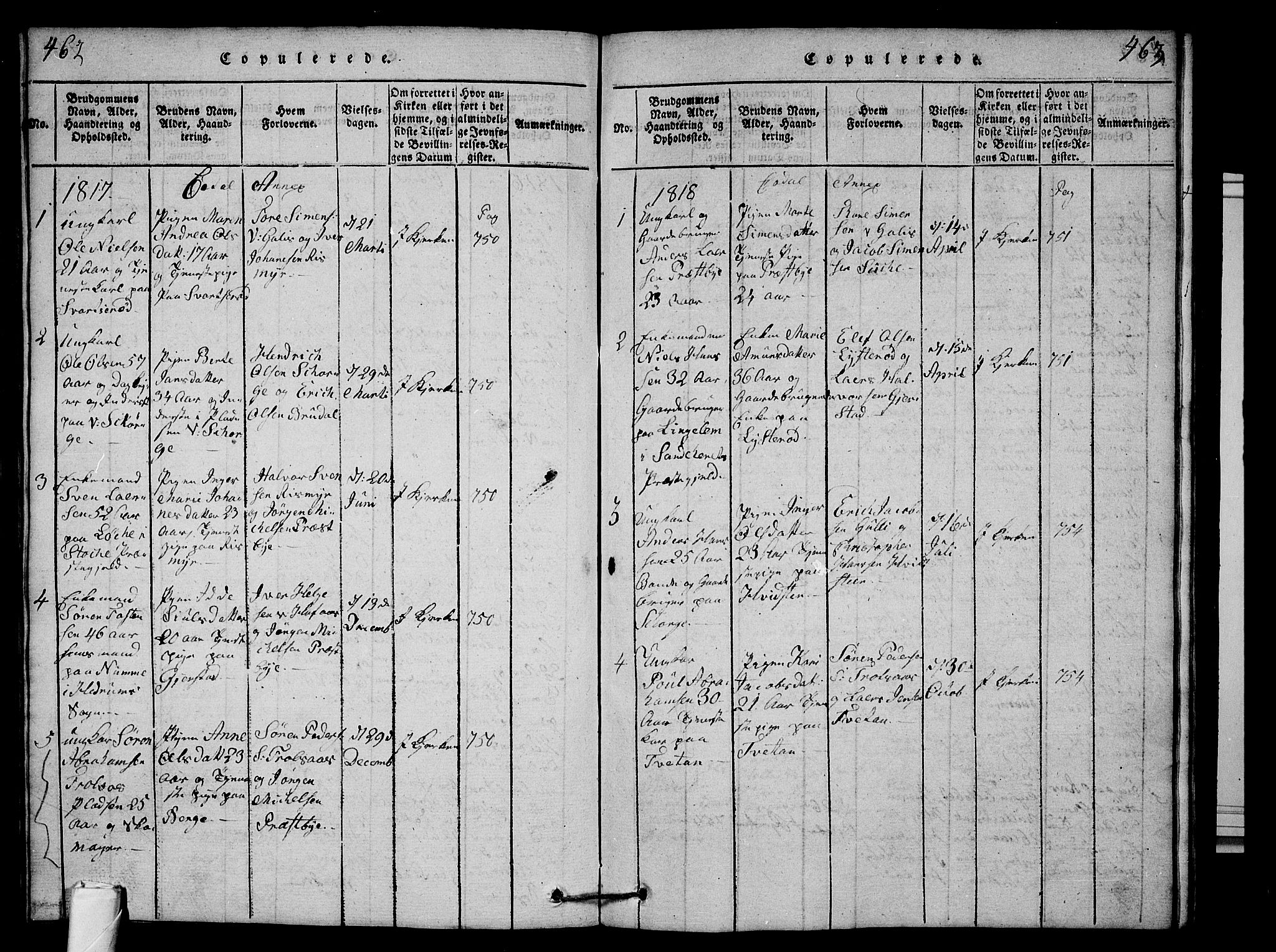 Andebu kirkebøker, AV/SAKO-A-336/G/Ga/L0001: Parish register (copy) no. I 1 /3, 1815-1823, p. 462-463