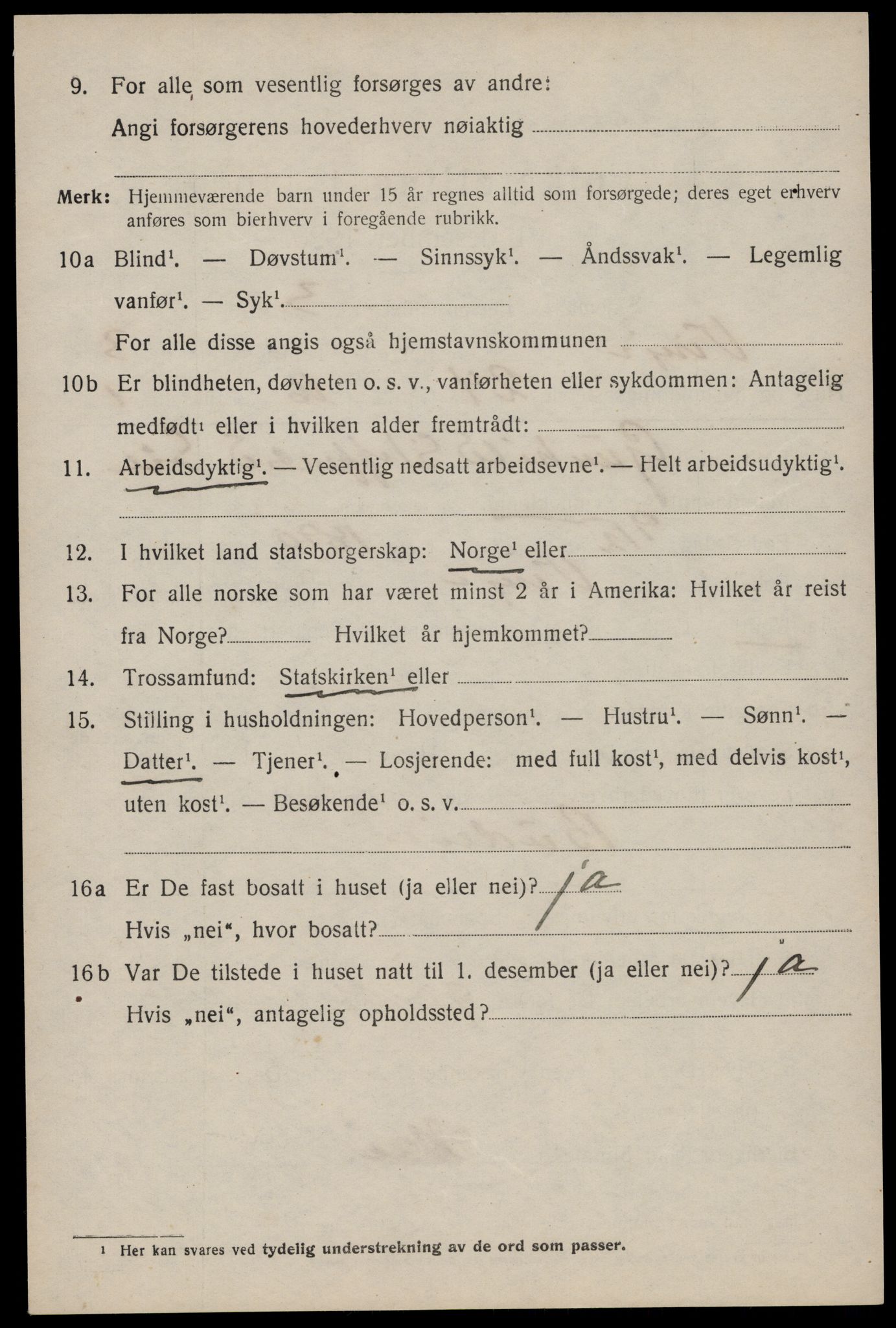 SAKO, 1920 census for Vinje, 1920, p. 1248