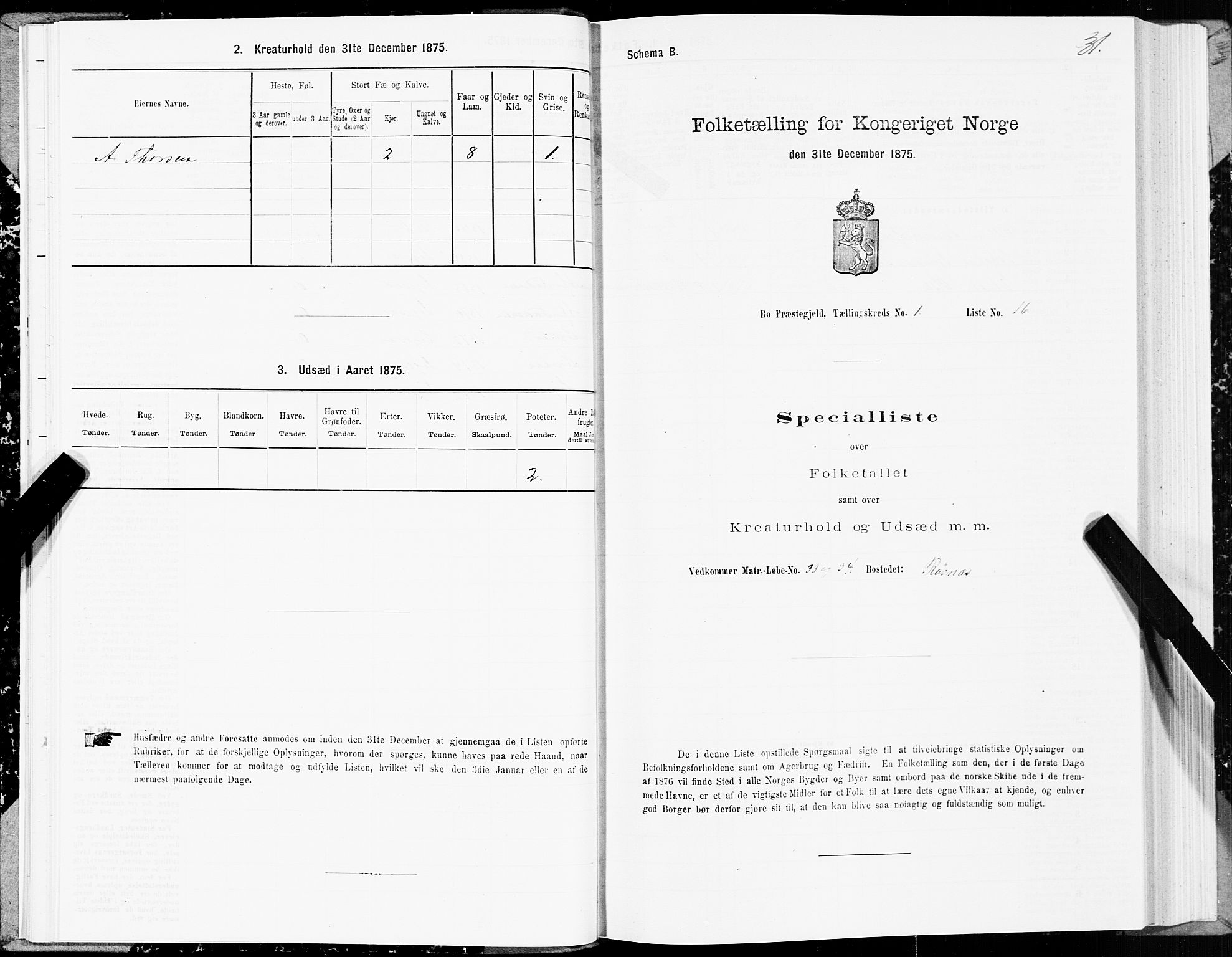 SAT, 1875 census for 1867P Bø, 1875, p. 1031
