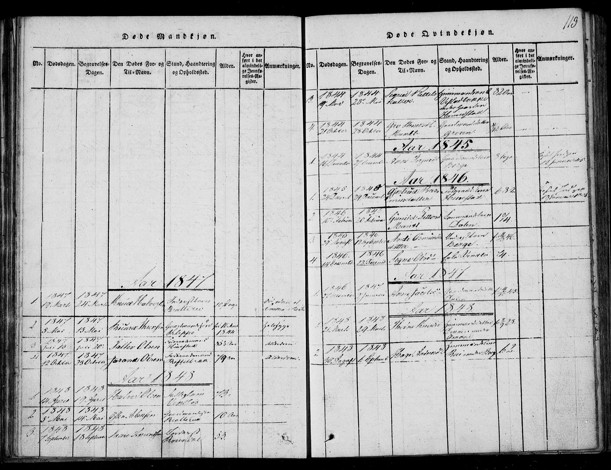 Lårdal kirkebøker, SAKO/A-284/F/Fb/L0001: Parish register (official) no. II 1, 1815-1860, p. 113