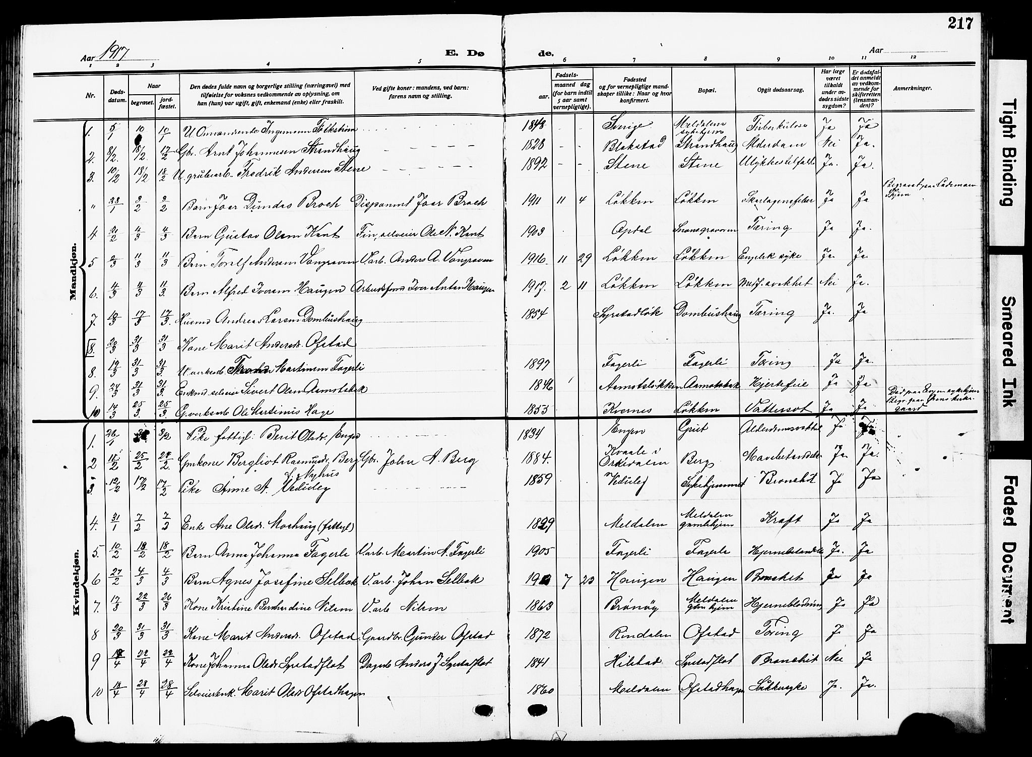 Ministerialprotokoller, klokkerbøker og fødselsregistre - Sør-Trøndelag, SAT/A-1456/672/L0865: Parish register (copy) no. 672C04, 1914-1928, p. 217
