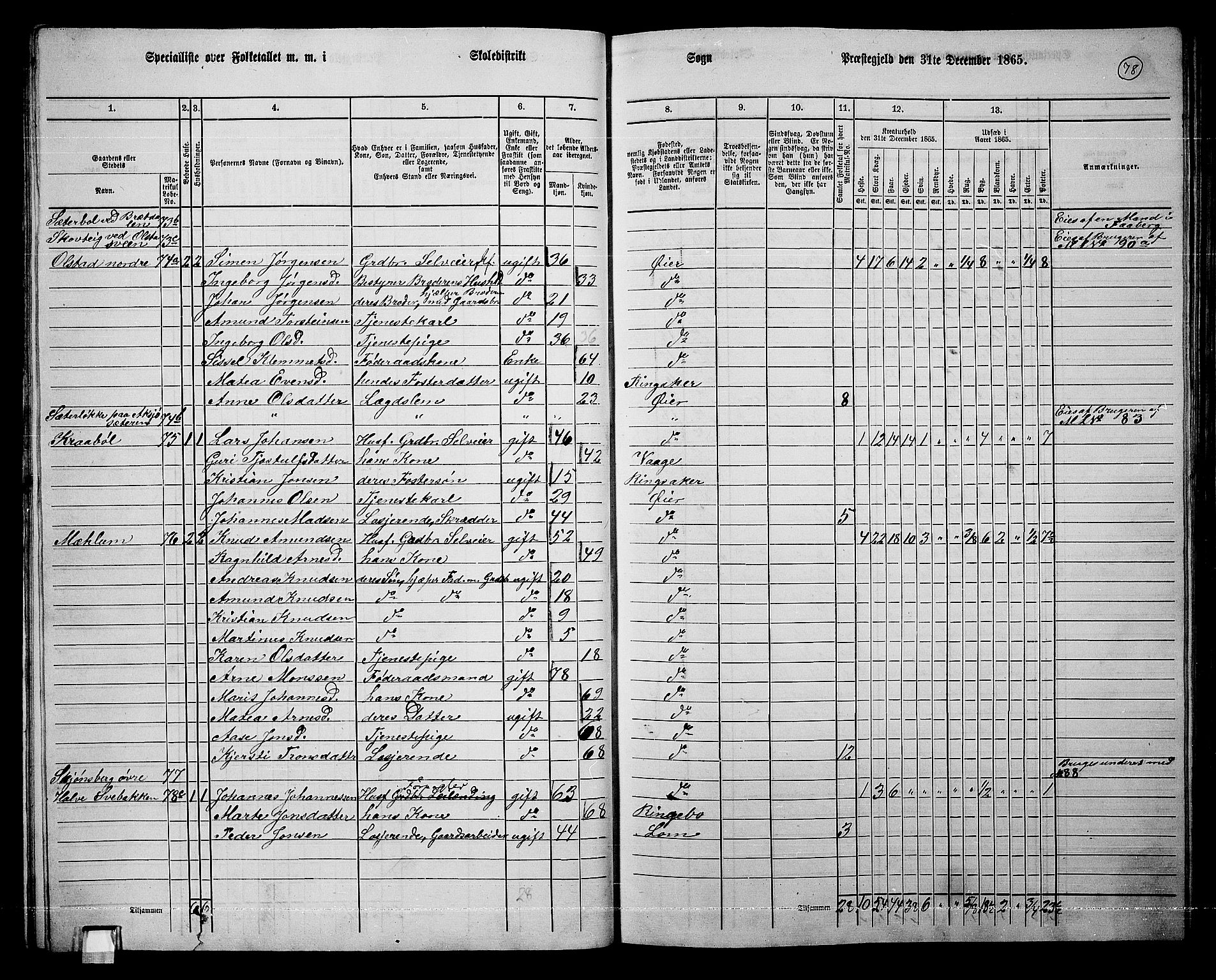 RA, 1865 census for Øyer, 1865, p. 69