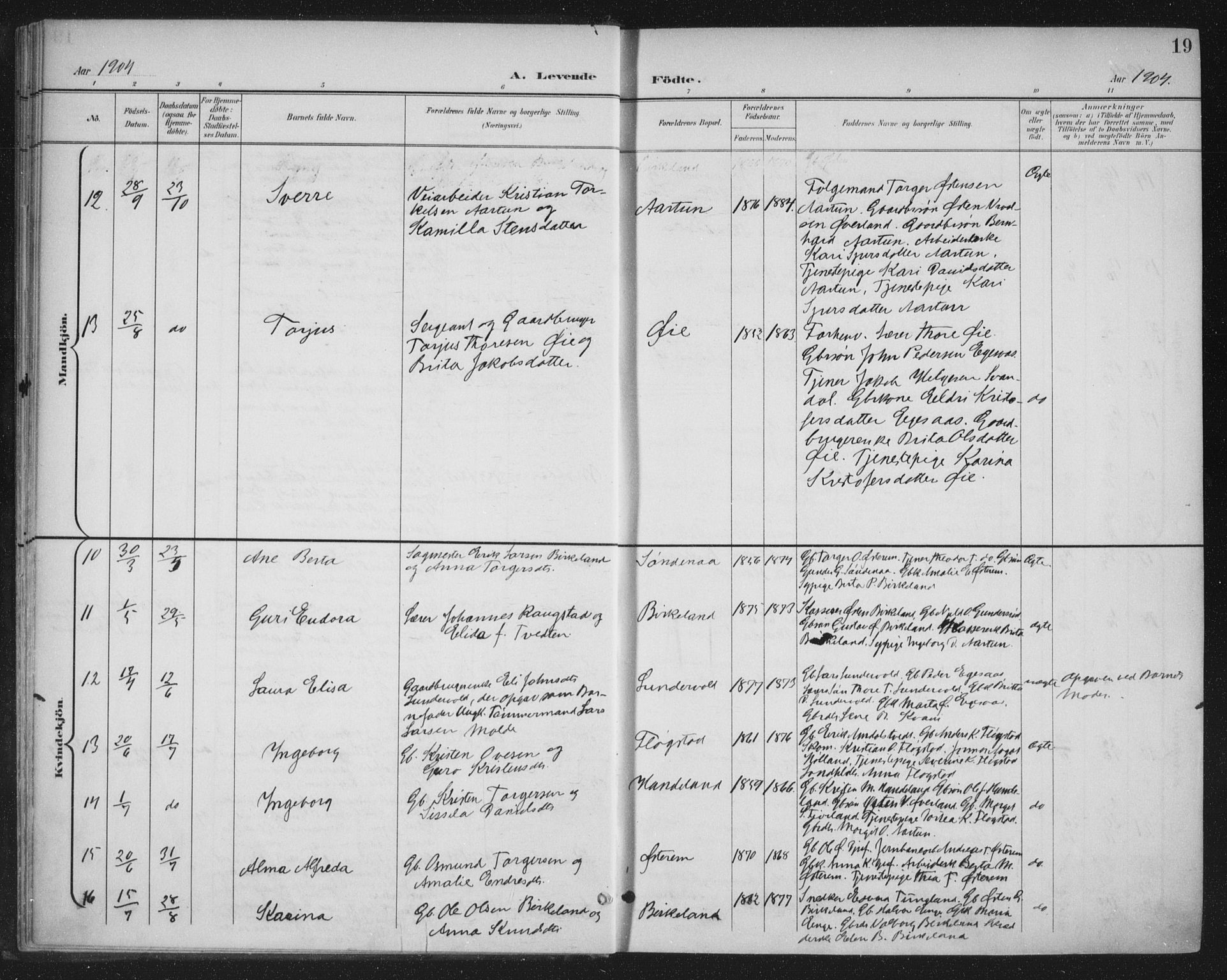 Sand sokneprestkontor, AV/SAST-A-101848/03/C/L0001: Parish register (official) no. A 7, 1899-1928, p. 19