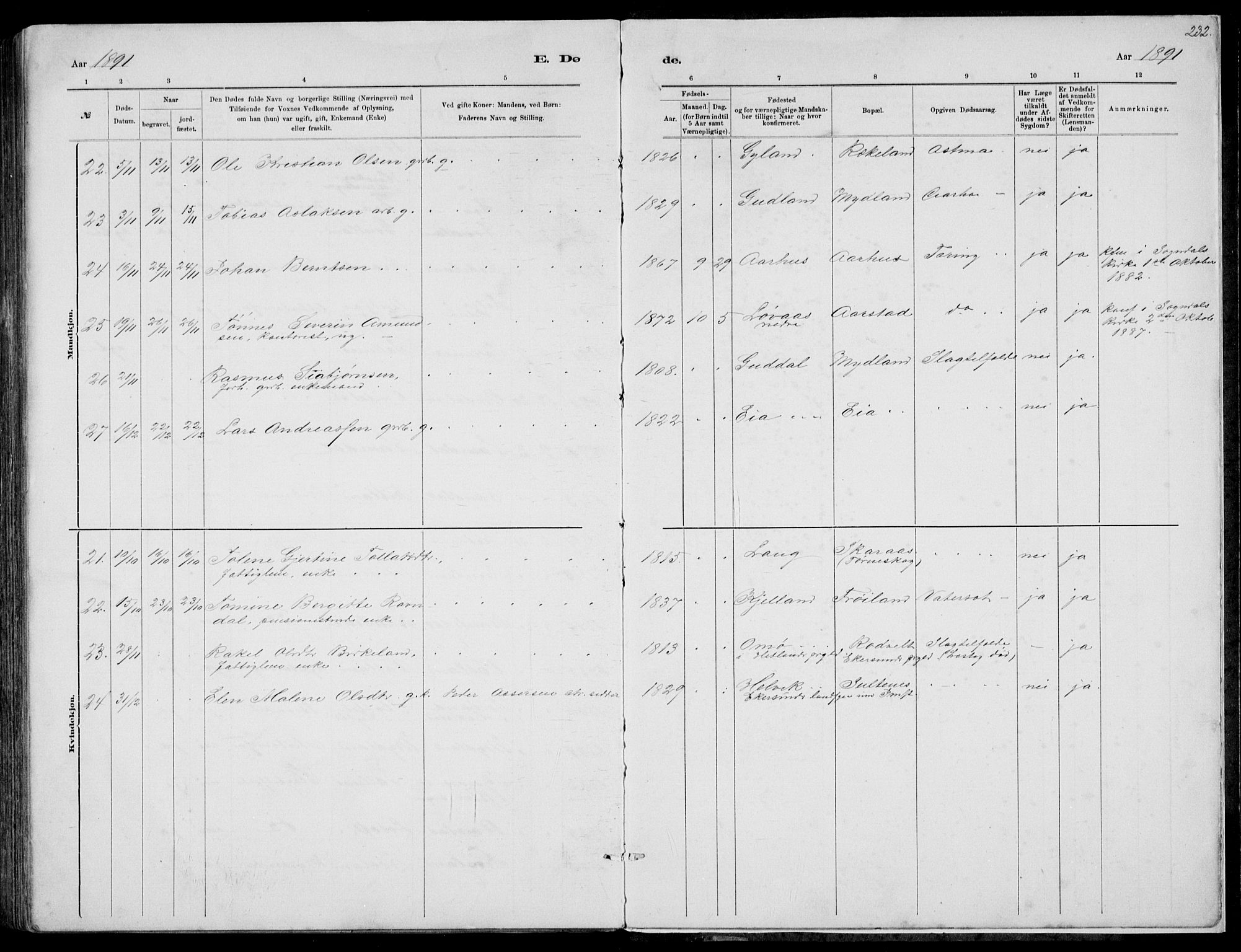 Sokndal sokneprestkontor, AV/SAST-A-101808: Parish register (copy) no. B 4, 1880-1891, p. 232