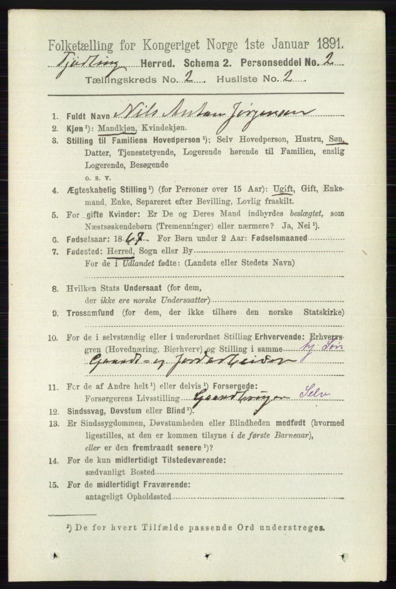 RA, 1891 census for 0725 Tjølling, 1891, p. 508