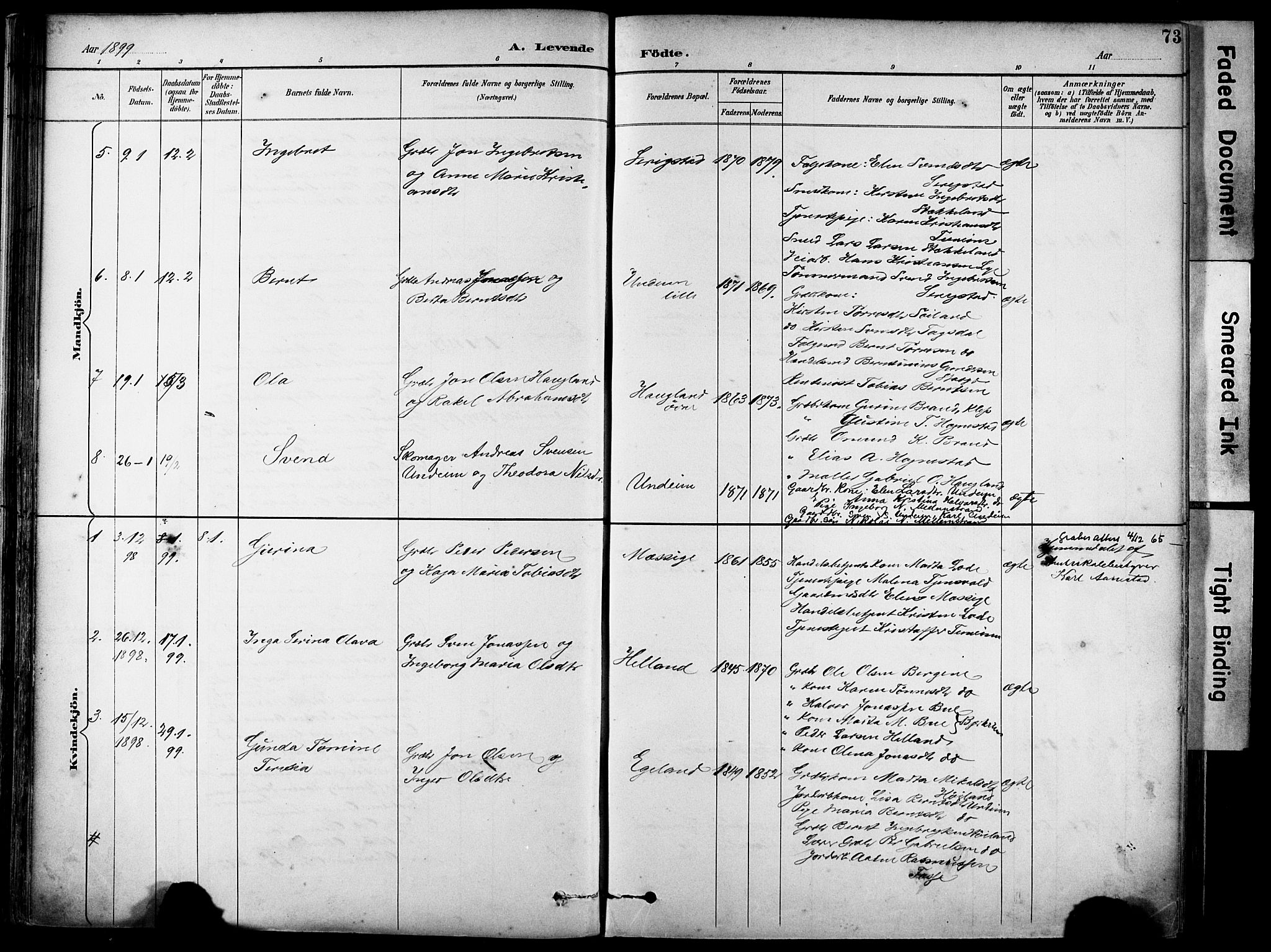 Lye sokneprestkontor, AV/SAST-A-101794/001/30BA/L0011: Parish register (official) no. A 9, 1893-1903, p. 73