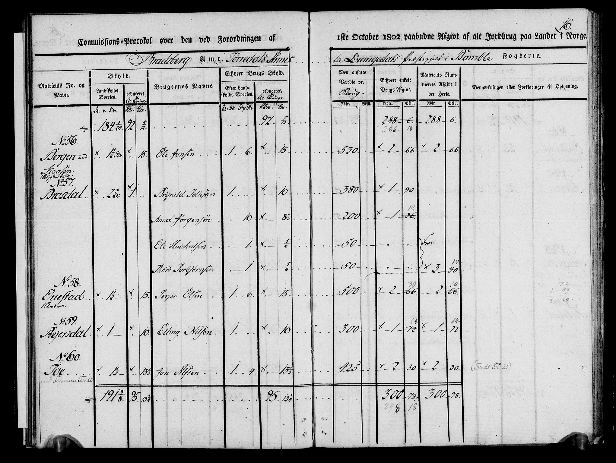 Rentekammeret inntil 1814, Realistisk ordnet avdeling, AV/RA-EA-4070/N/Ne/Nea/L0068: og 0069: Nedre Telemarken og Bamble fogderi. Kommisjonsprotokoll for Drangedal, Sannidal, Bamble og Eidanger prestegjeld., 1803, p. 21