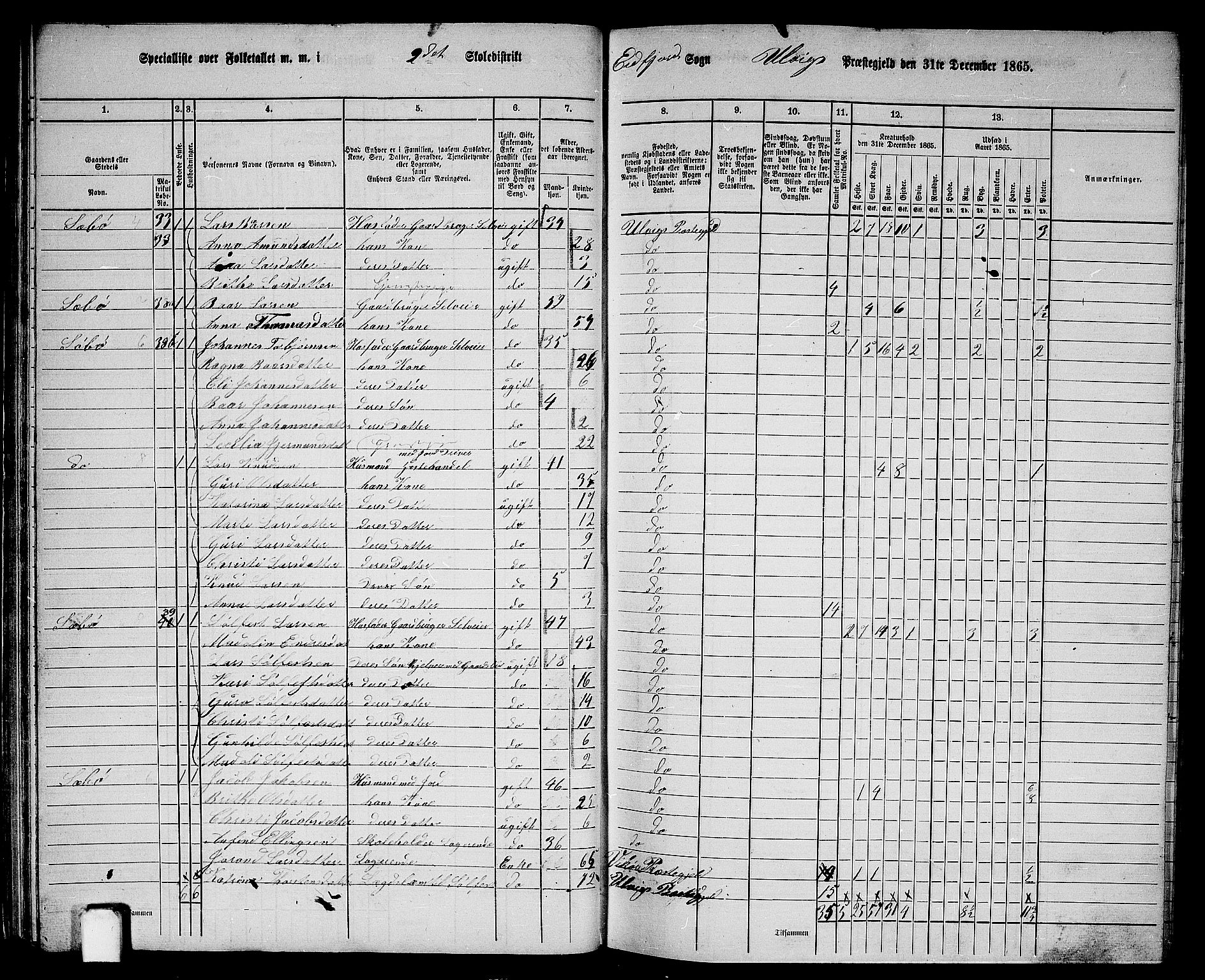 RA, 1865 census for Ulvik, 1865, p. 38