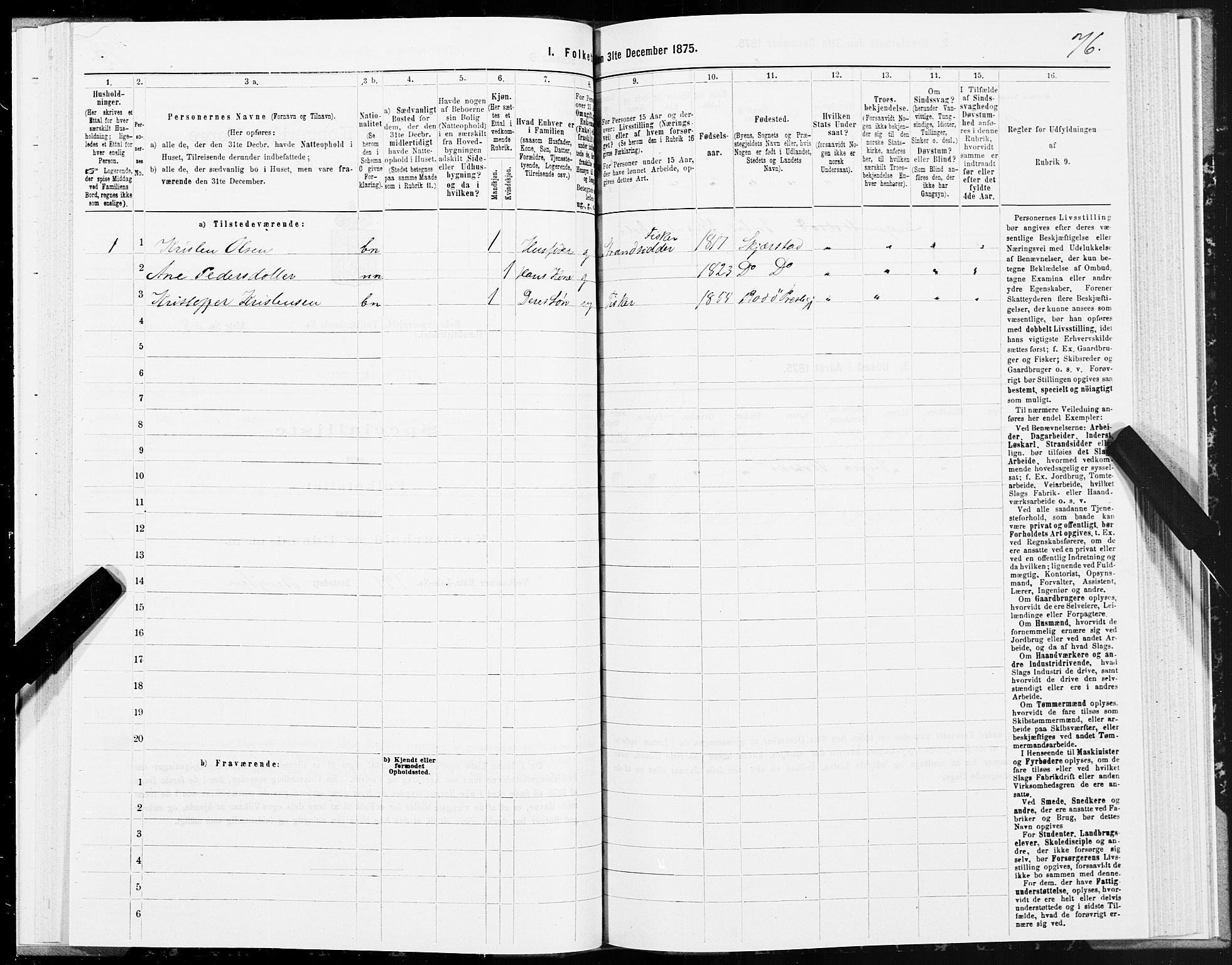 SAT, 1875 census for 1843L Bodø/Bodø, 1875, p. 4076