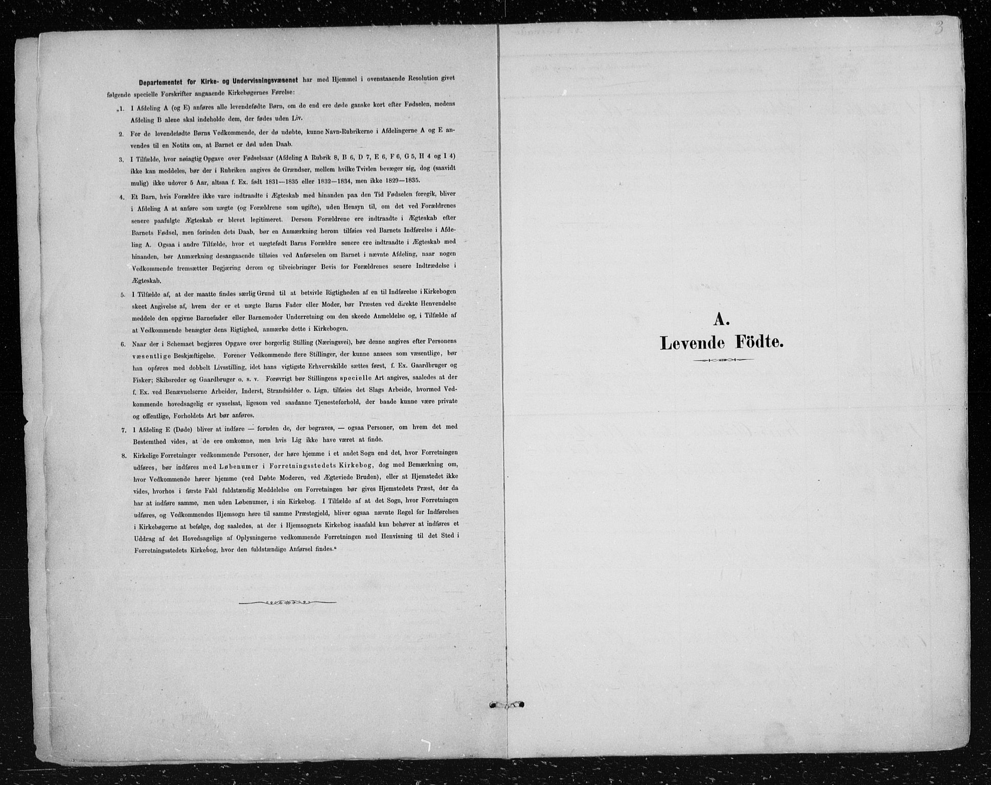 Nes kirkebøker, SAKO/A-236/F/Fa/L0012: Parish register (official) no. 12, 1881-1917, p. 3