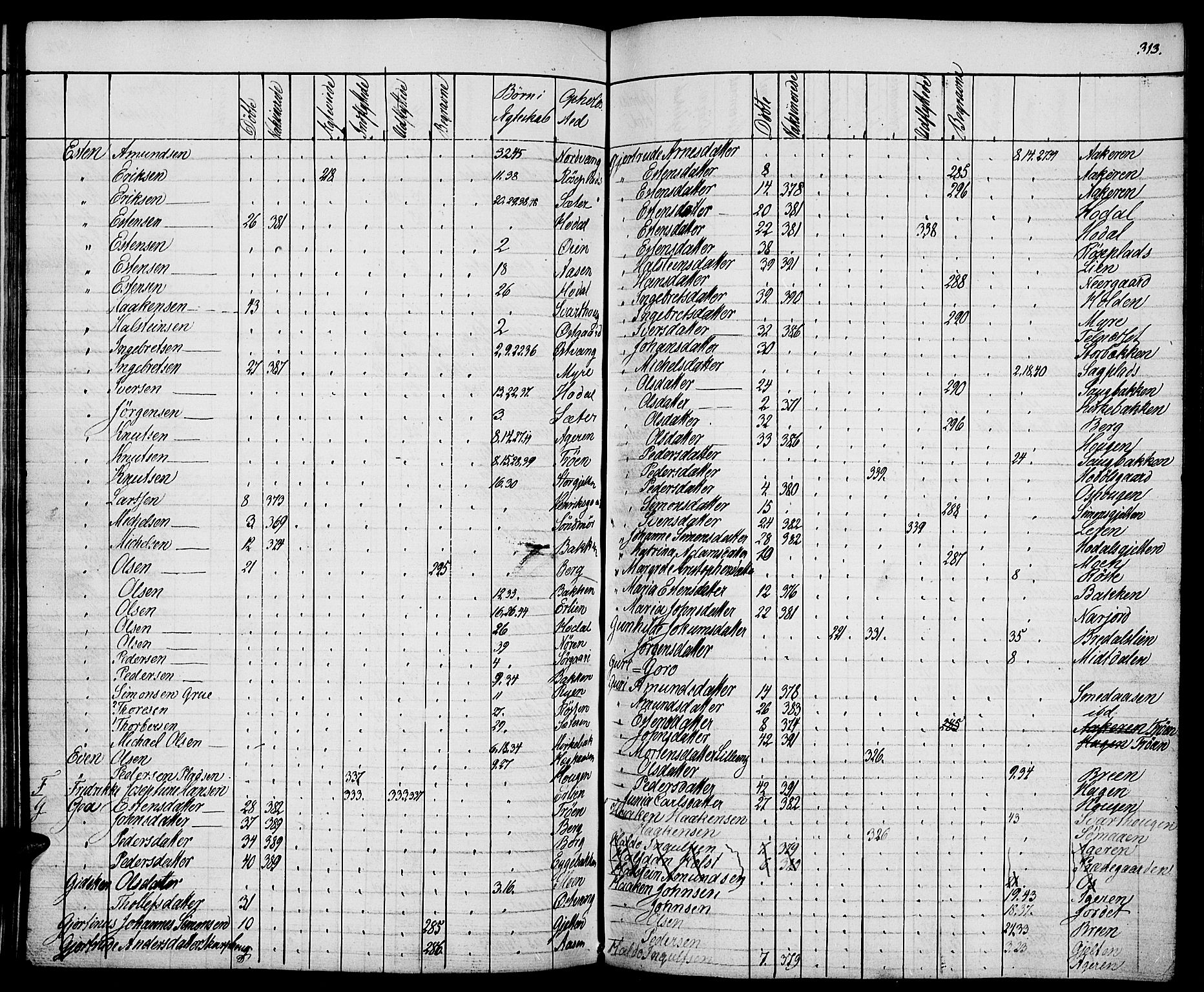 Tolga prestekontor, AV/SAH-PREST-062/K/L0005: Parish register (official) no. 5, 1836-1852, p. 313