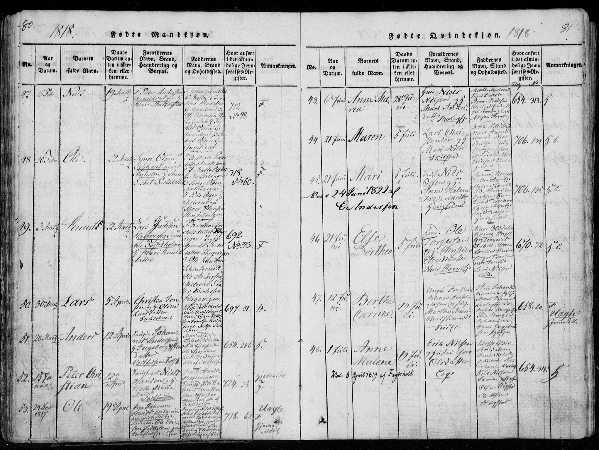 Eiker kirkebøker, SAKO/A-4/F/Fa/L0011: Parish register (official) no. I 11, 1814-1827, p. 80-81