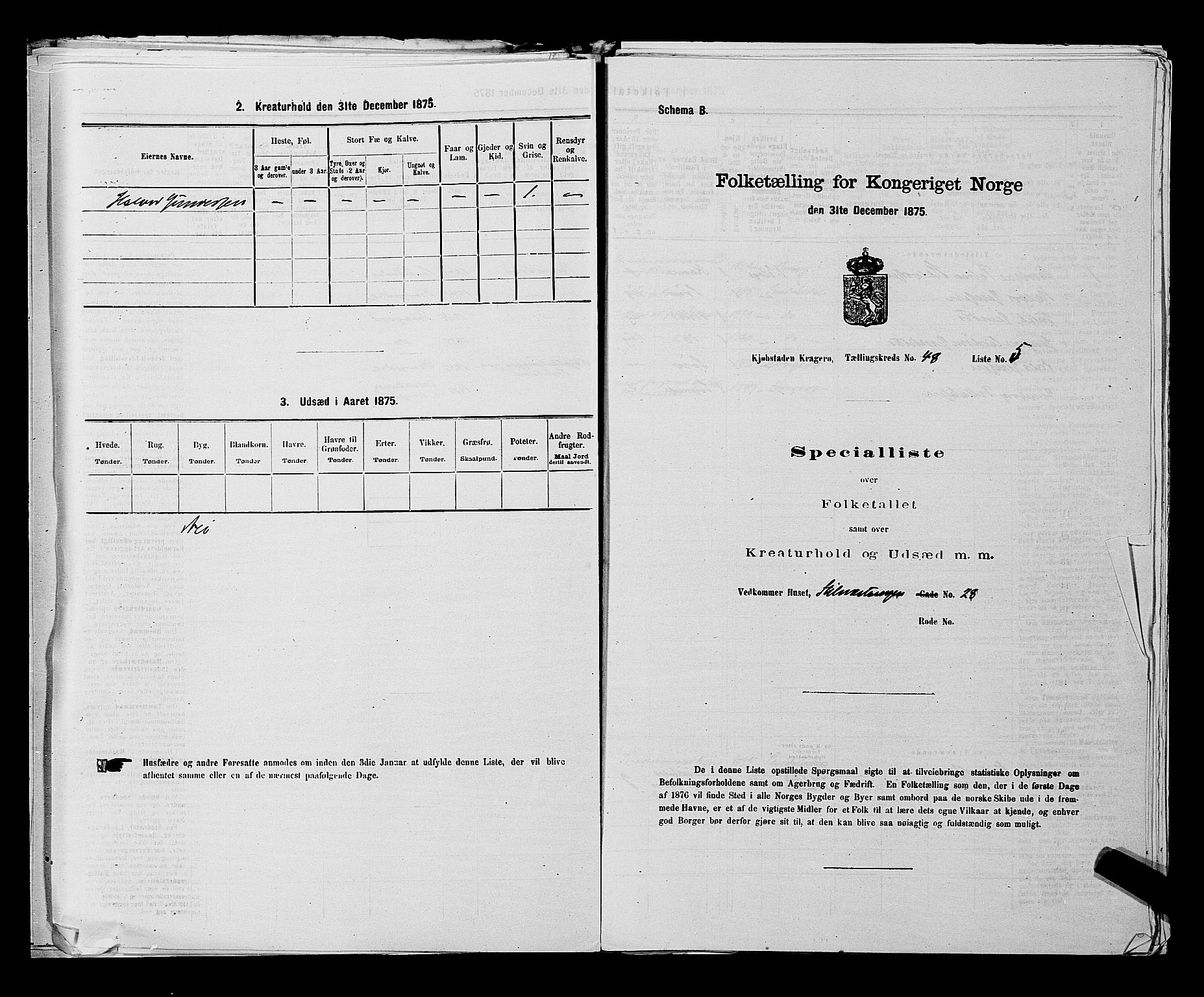 SAKO, 1875 census for 0801P Kragerø, 1875, p. 1067