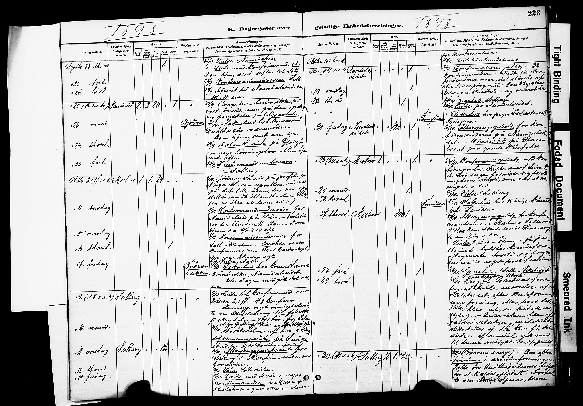 Ministerialprotokoller, klokkerbøker og fødselsregistre - Nord-Trøndelag, AV/SAT-A-1458/741/L0396: Parish register (official) no. 741A10, 1889-1901, p. 223