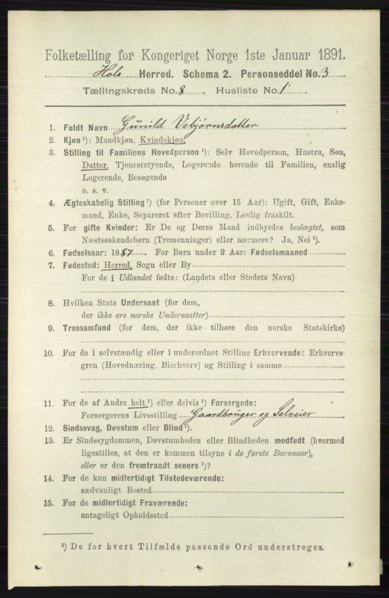 RA, 1891 census for 0620 Hol, 1891, p. 2241