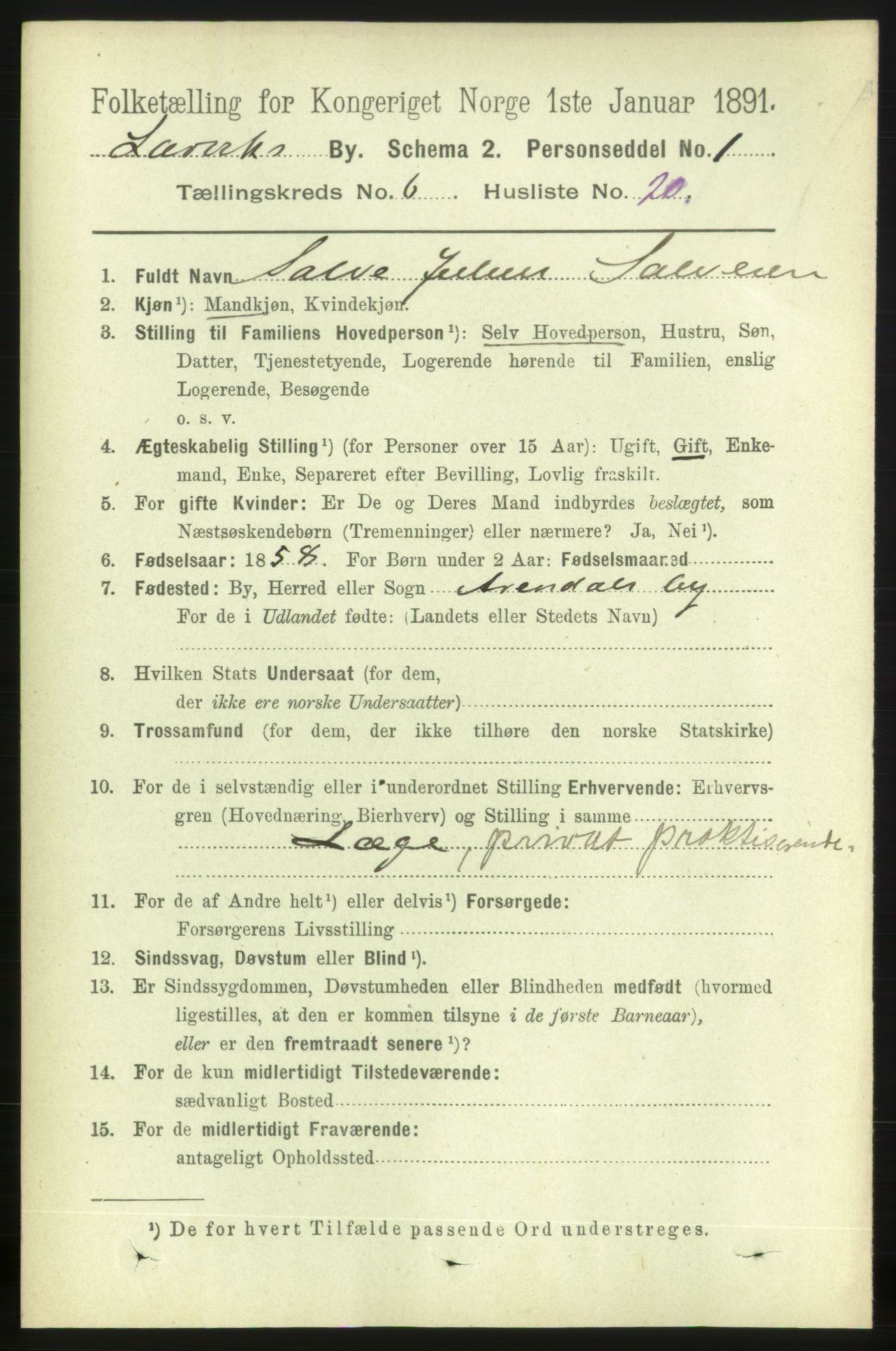 RA, 1891 census for 0707 Larvik, 1891, p. 6802