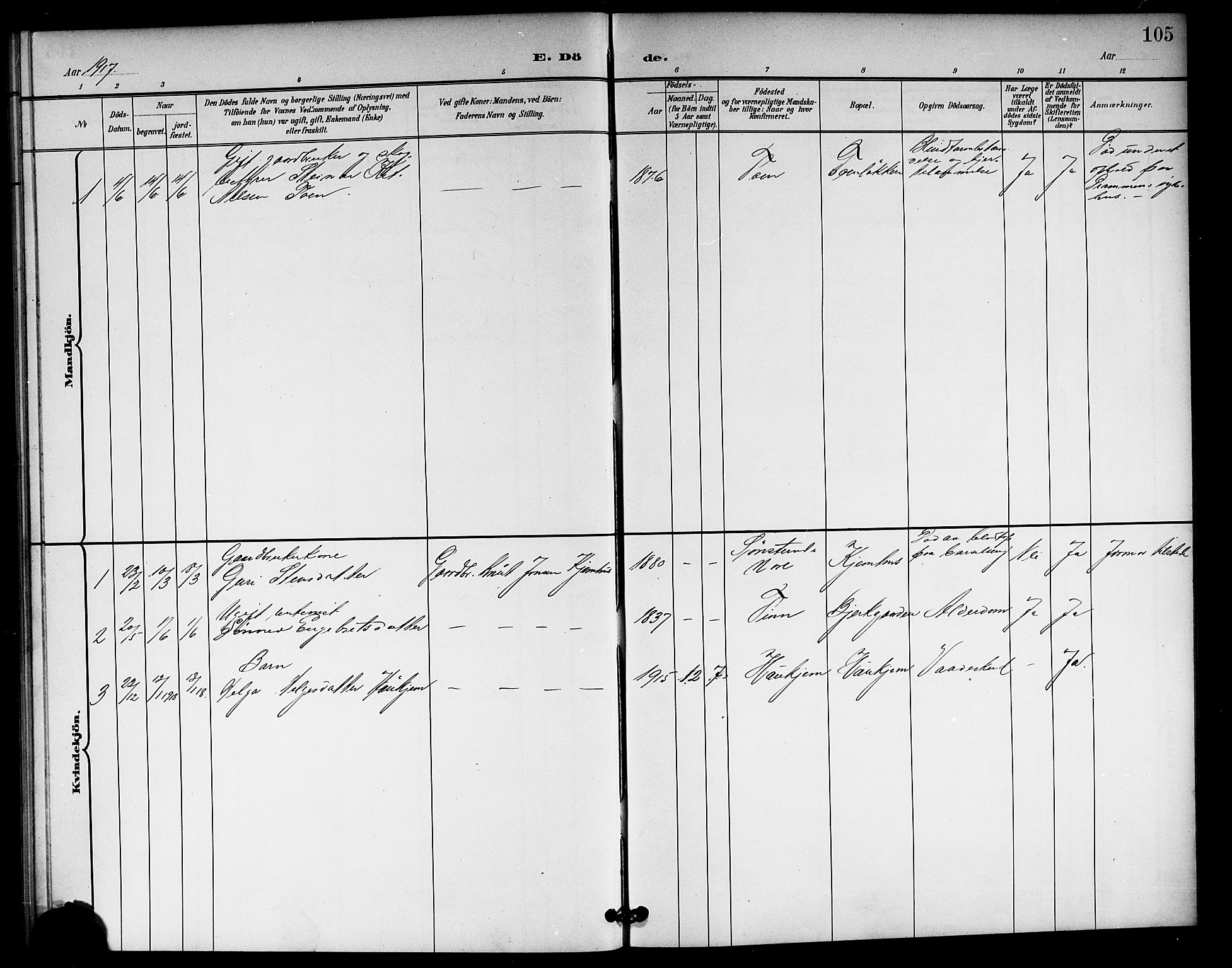 Rollag kirkebøker, SAKO/A-240/G/Gb/L0003: Parish register (copy) no. II 3, 1897-1919, p. 105