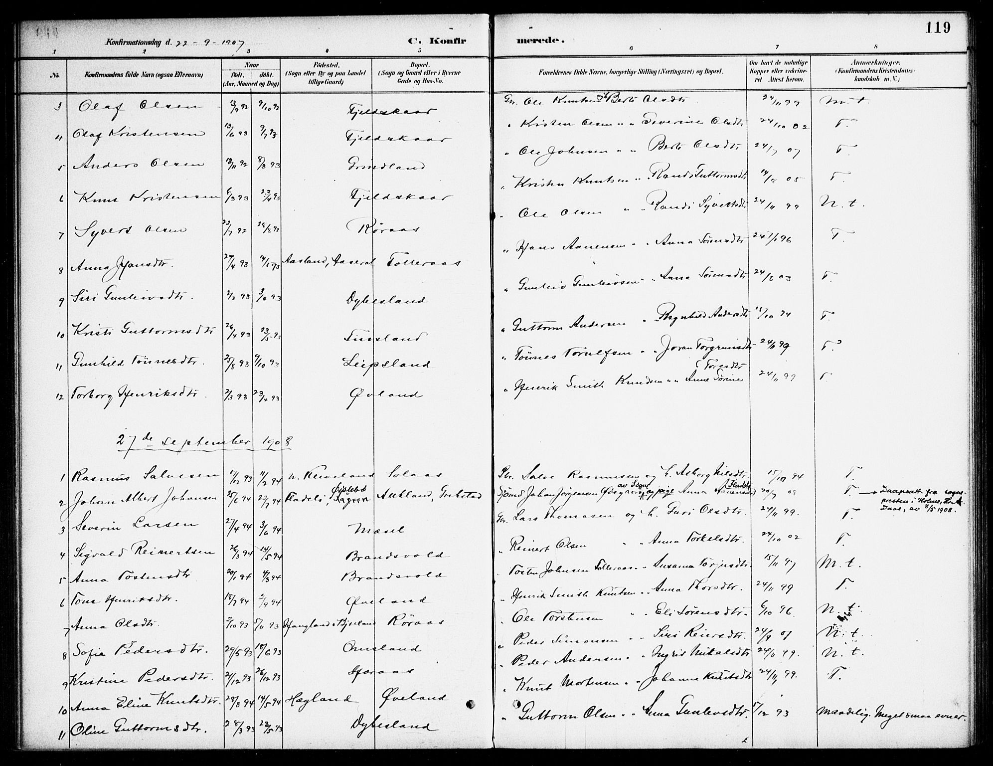 Bjelland sokneprestkontor, SAK/1111-0005/F/Fa/Fab/L0004: Parish register (official) no. A 4, 1887-1920, p. 119