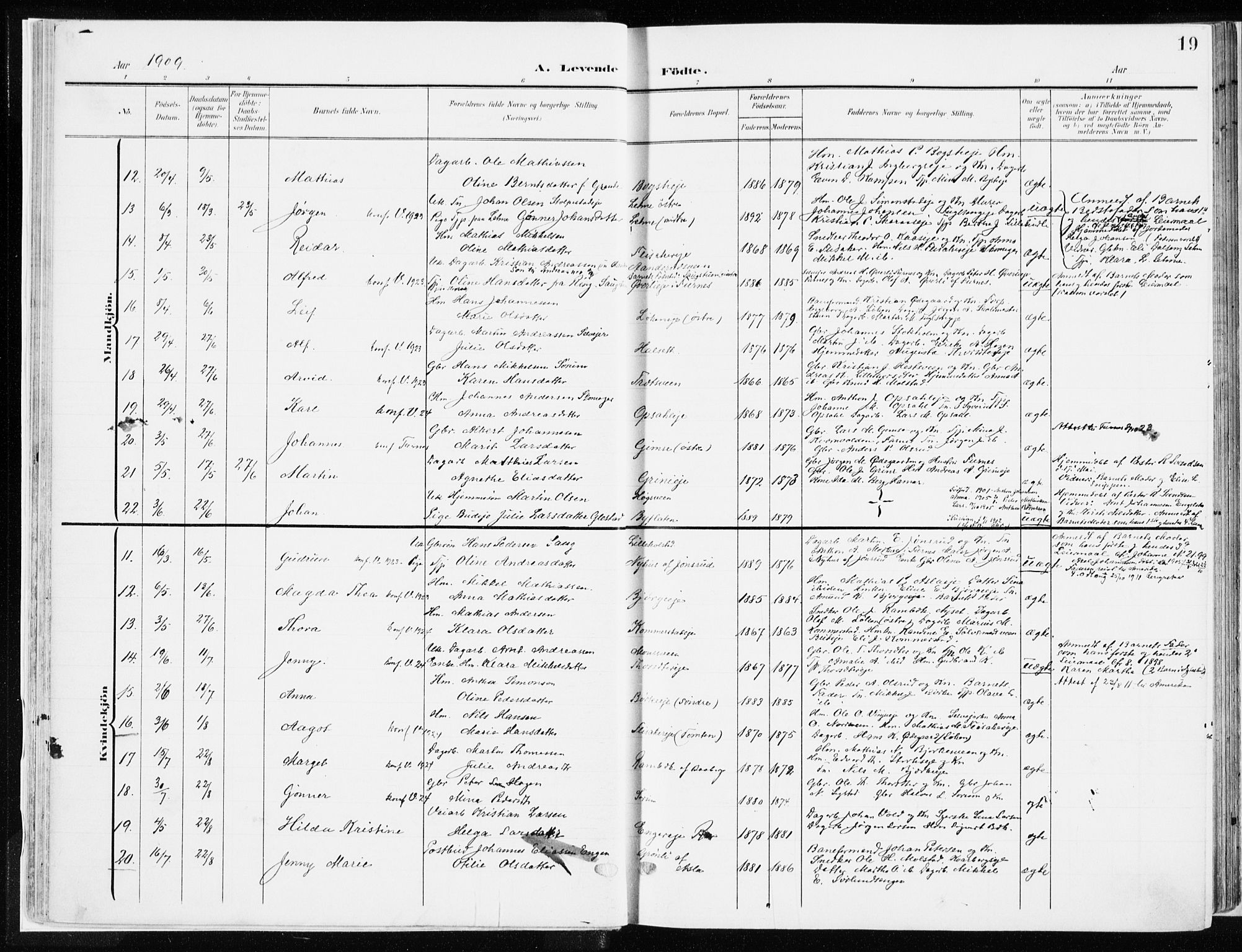 Ringsaker prestekontor, AV/SAH-PREST-014/K/Ka/L0019: Parish register (official) no. 19, 1905-1920, p. 19