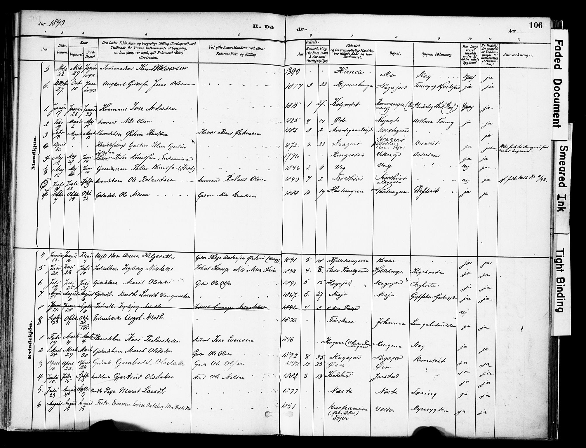Vestre Slidre prestekontor, SAH/PREST-136/H/Ha/Haa/L0004: Parish register (official) no. 4, 1881-1911, p. 106