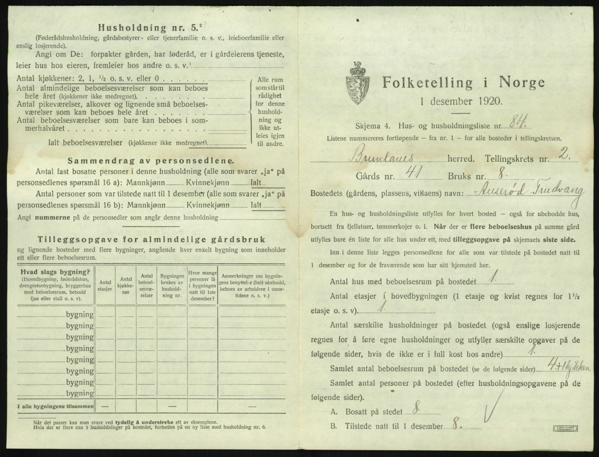 SAKO, 1920 census for Brunlanes, 1920, p. 479