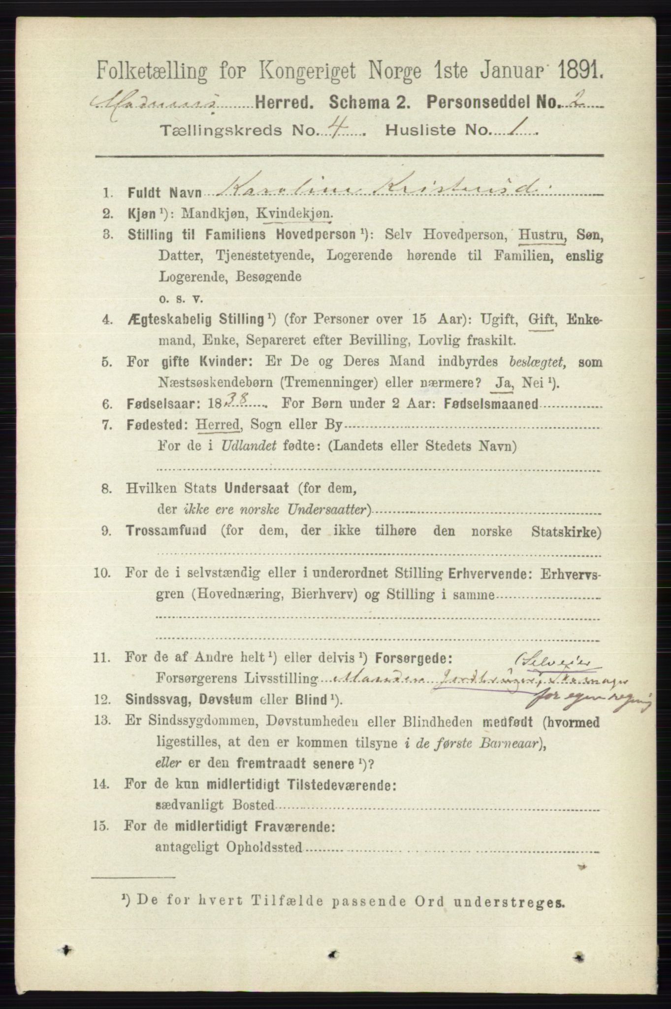 RA, 1891 census for 0623 Modum, 1891, p. 990