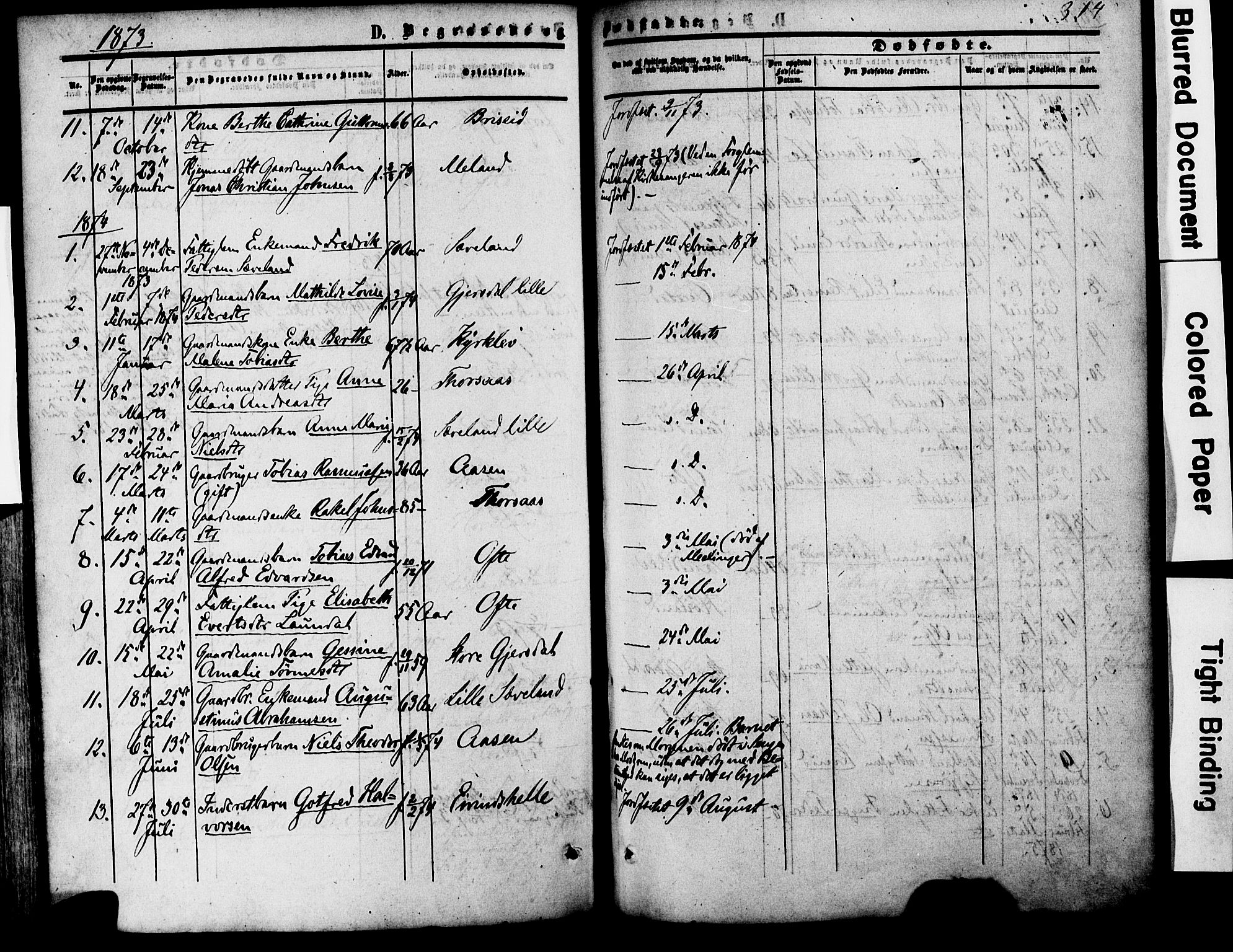 Herad sokneprestkontor, AV/SAK-1111-0018/F/Fa/Faa/L0005: Parish register (official) no. A 5, 1853-1886, p. 314