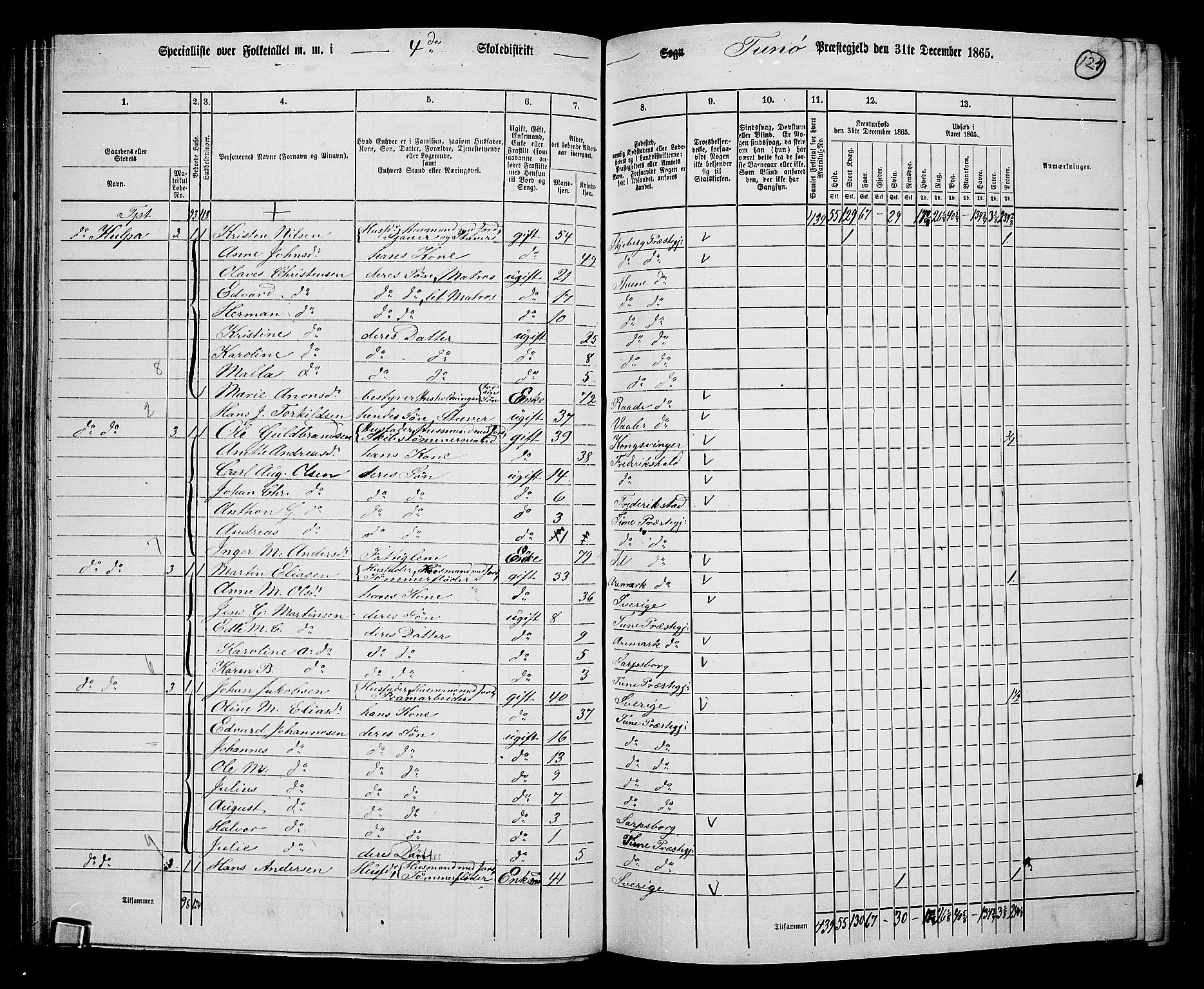 RA, 1865 census for Tune, 1865, p. 117