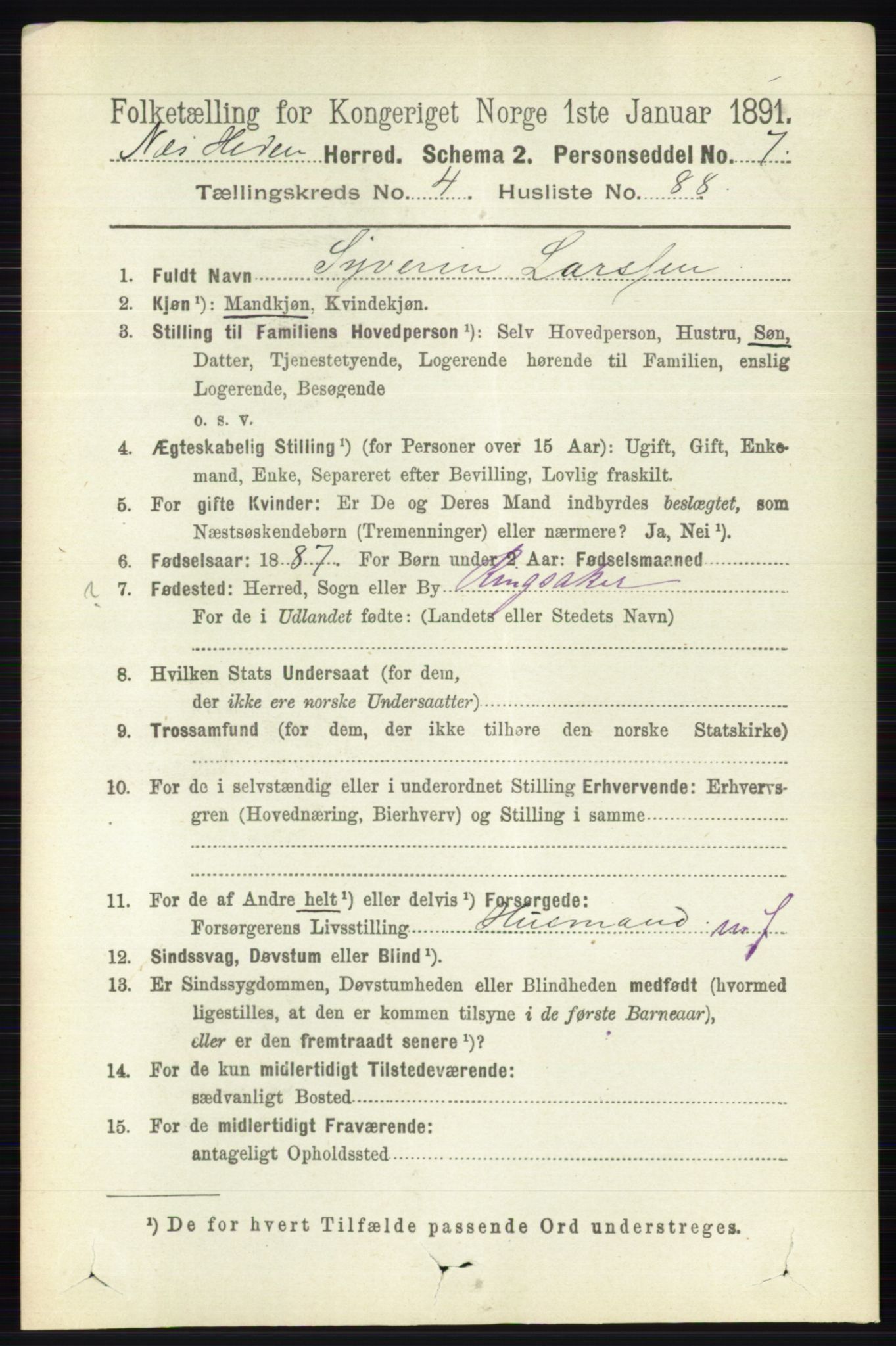 RA, 1891 census for 0411 Nes, 1891, p. 2517