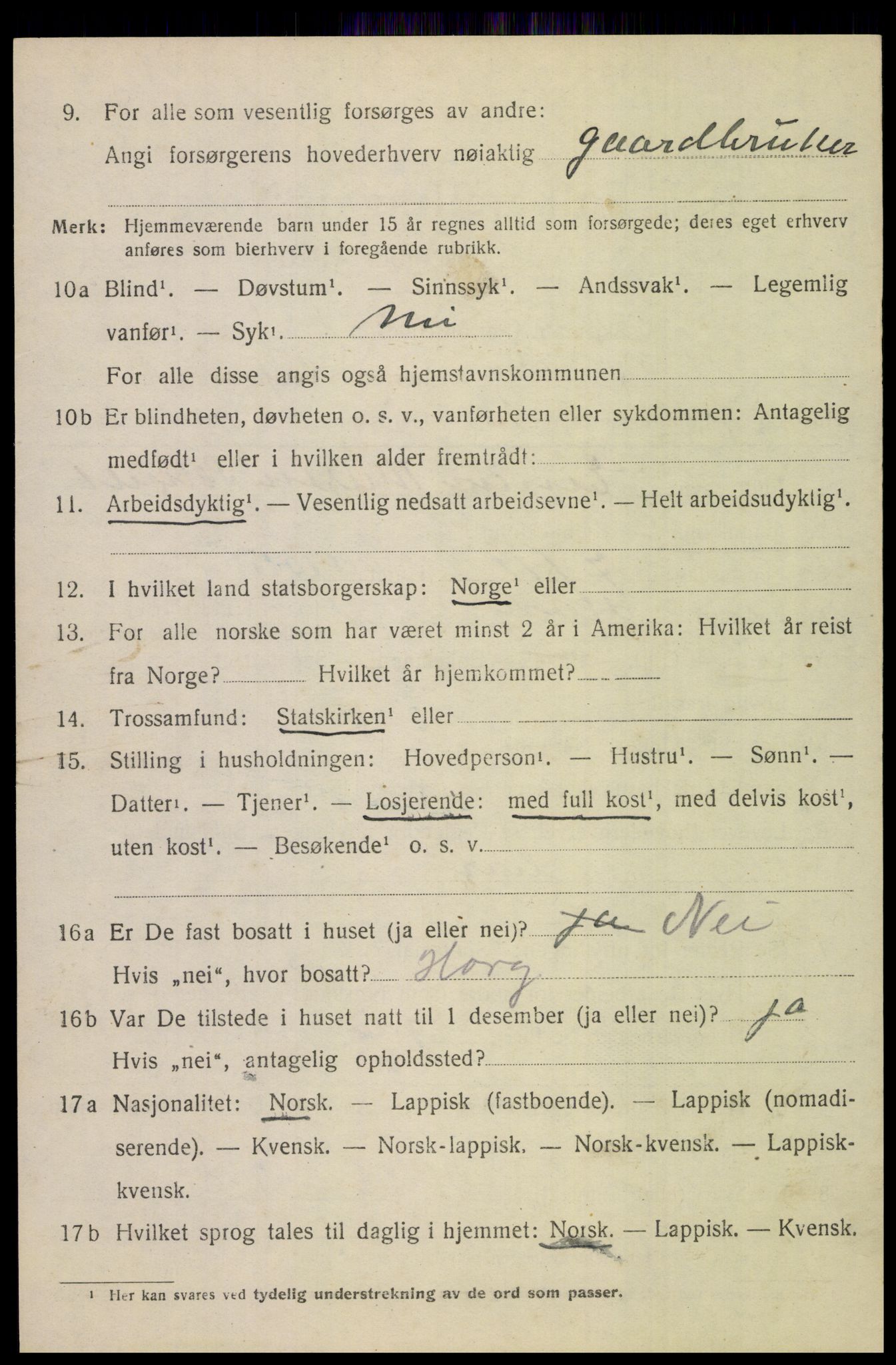 SAT, 1920 census for Bodin, 1920, p. 6875