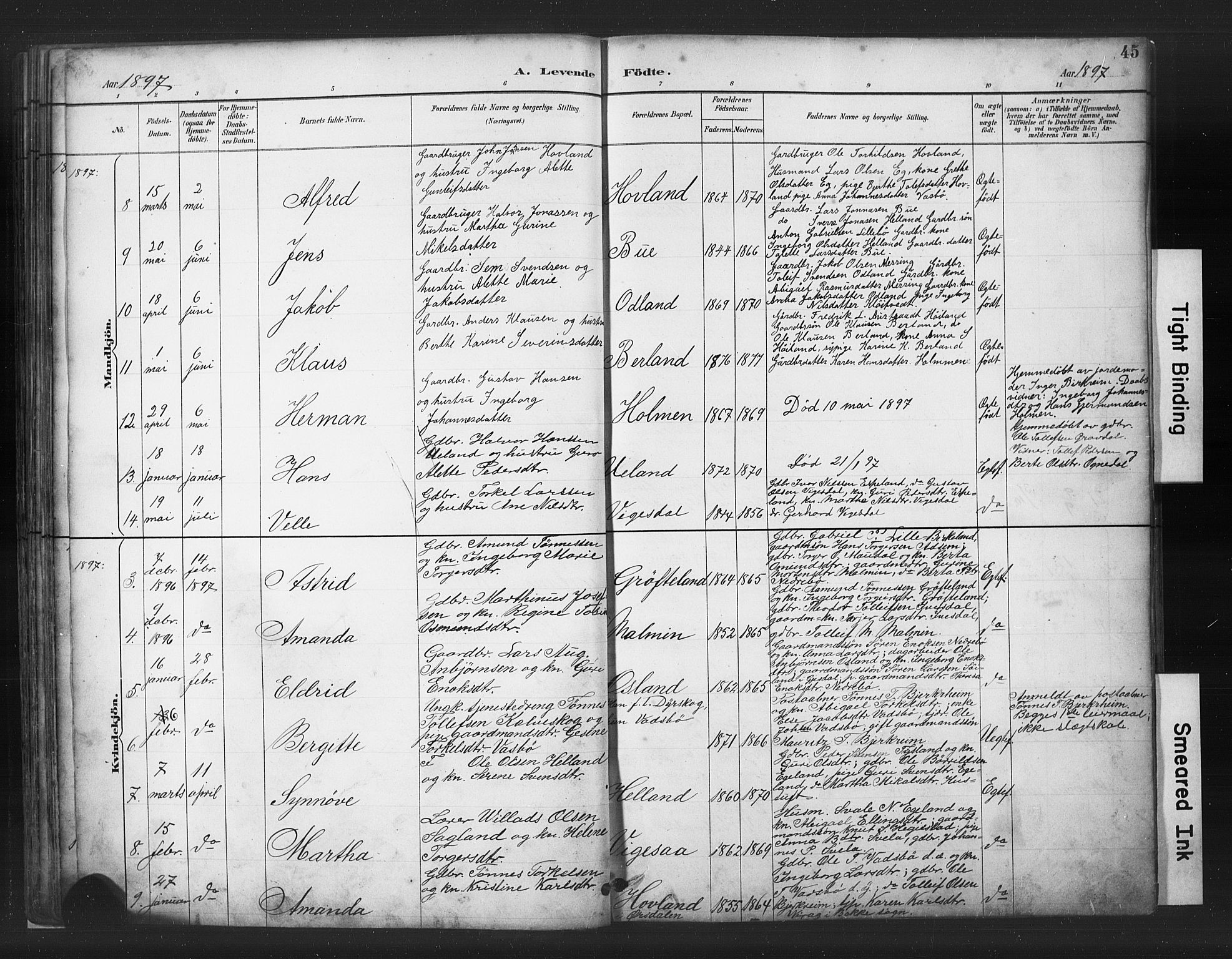 Helleland sokneprestkontor, SAST/A-101810: Parish register (copy) no. B 5, 1887-1908, p. 45